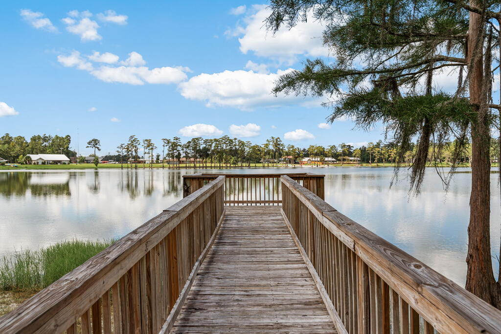 Wooden dock extending into a calm lake, framed by pine trees and a large shoreline tree.