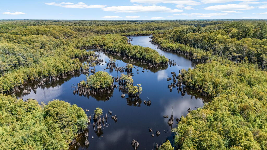 Aerial view of a winding waterway through dense green forest.