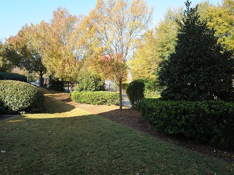 272 Carlyle Park Drive NE
