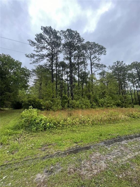 Grassy vacant lot with tall pines and leafy trees along a gravel roadside.