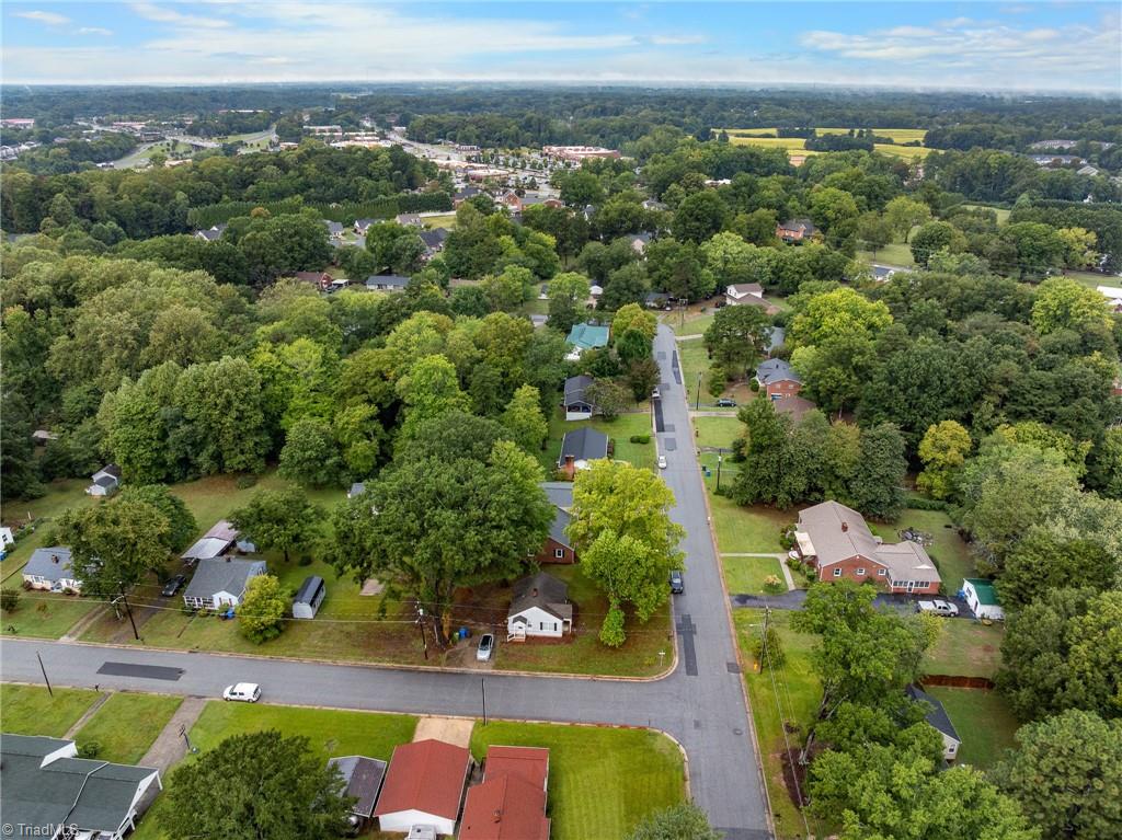 Aerial view of a leafy residential neighborhood with detached homes and a street intersection.
