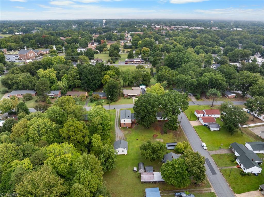 Aerial view of a tree-lined neighborhood with detached homes, lawns, and a road.