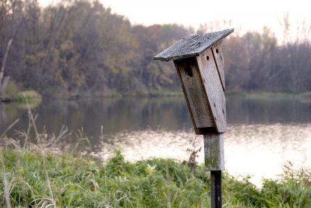 8636 Windward Circle