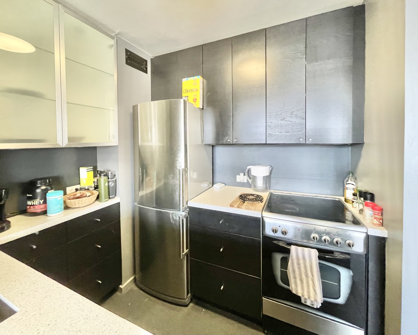 70 W Burton Place Unit: 2106