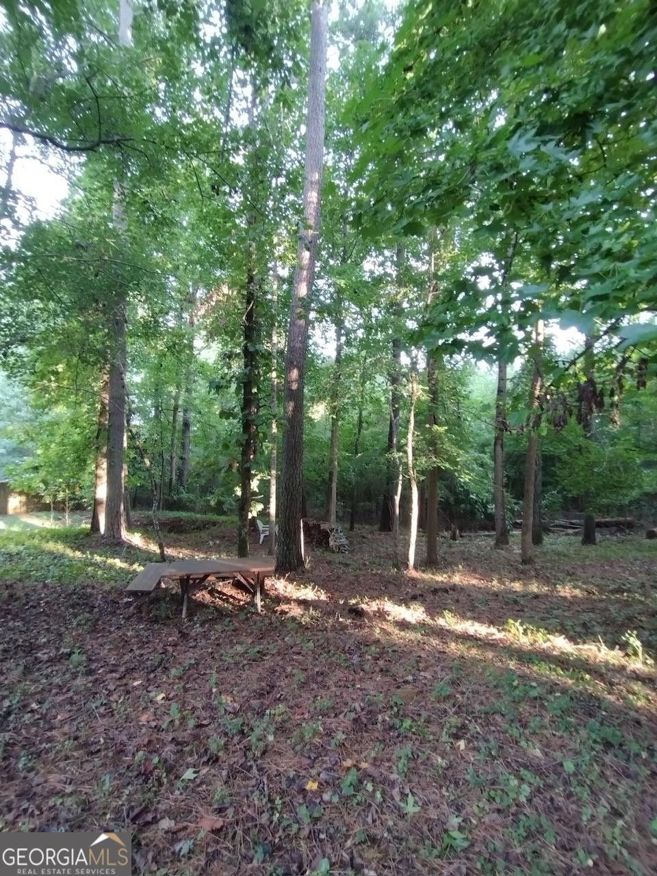 145 Spring View Ct