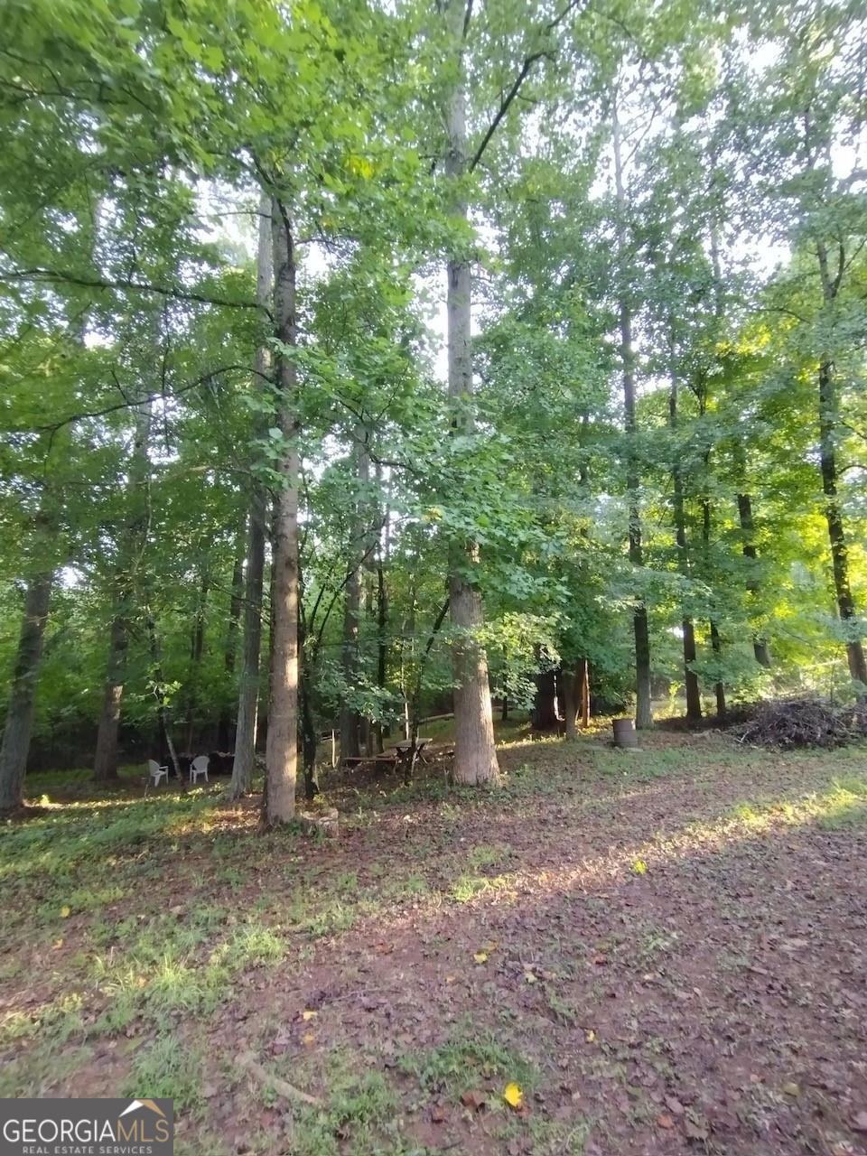 145 Spring View Ct