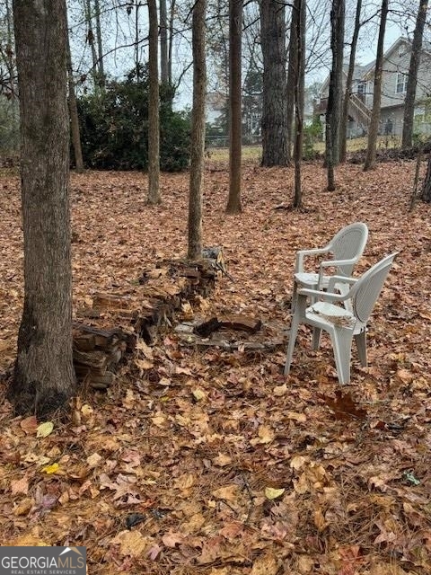 145 Spring View Ct