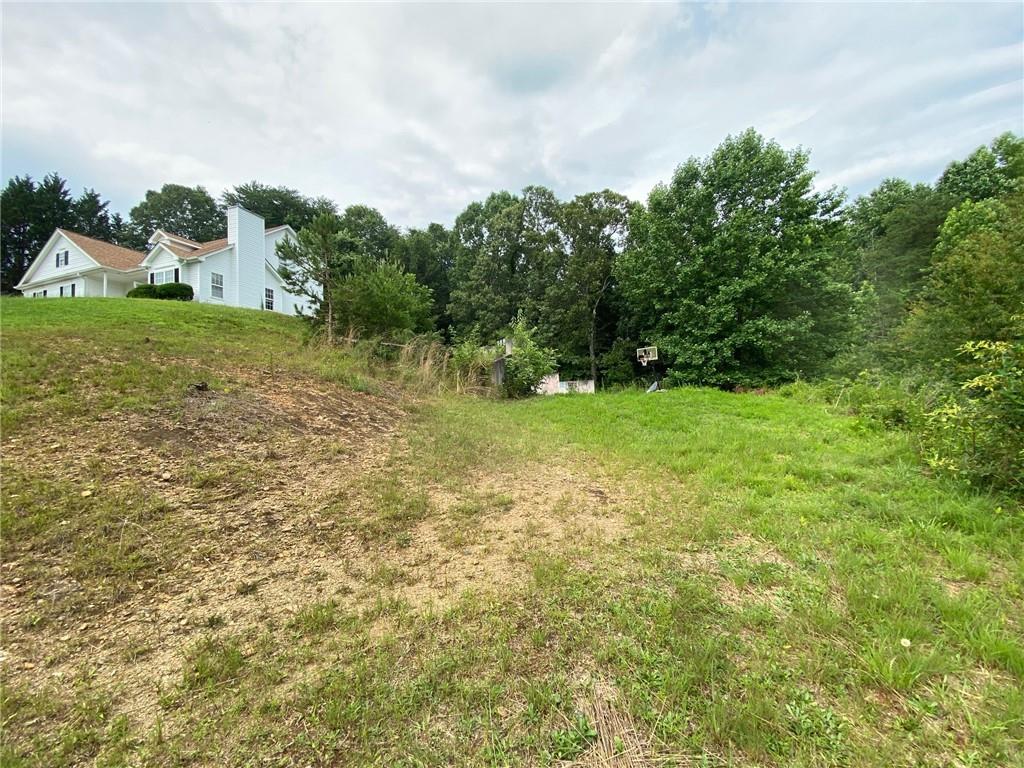 3127 Thorn Bush Drive