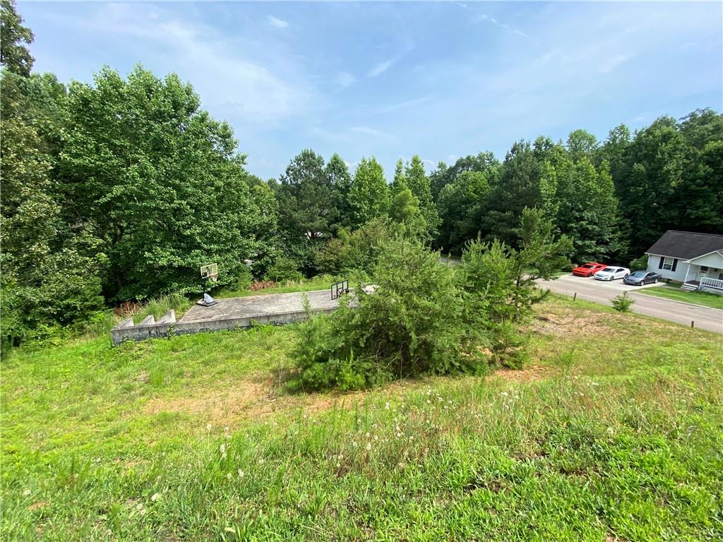 3127 Thorn Bush Drive