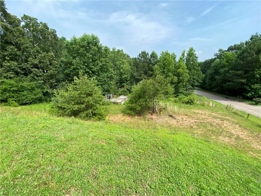 3127 Thorn Bush Drive
