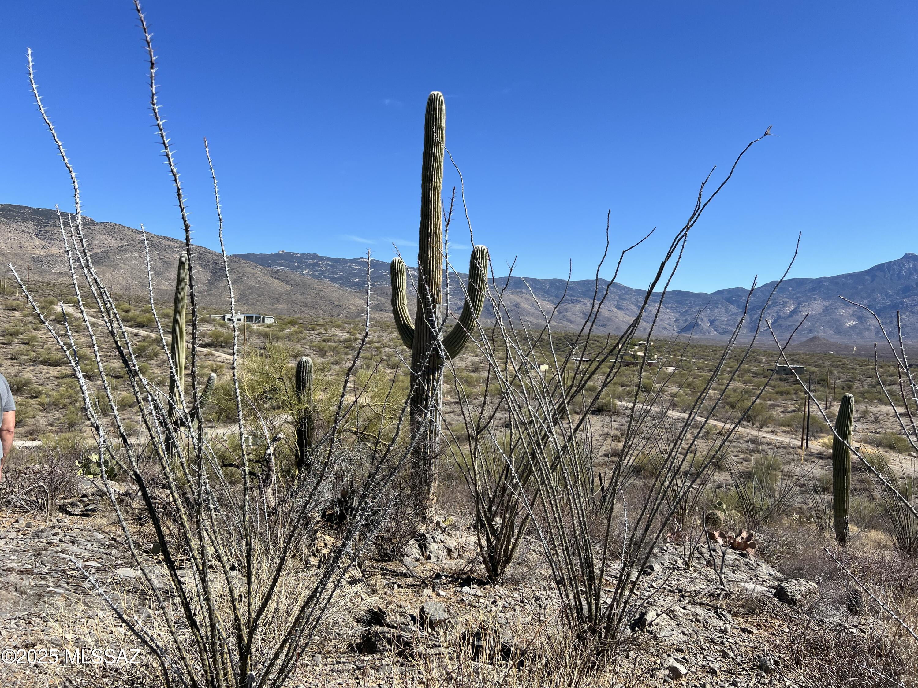 Rocky desert land with saguaros and ocotillo, backed by a wide mountain range.