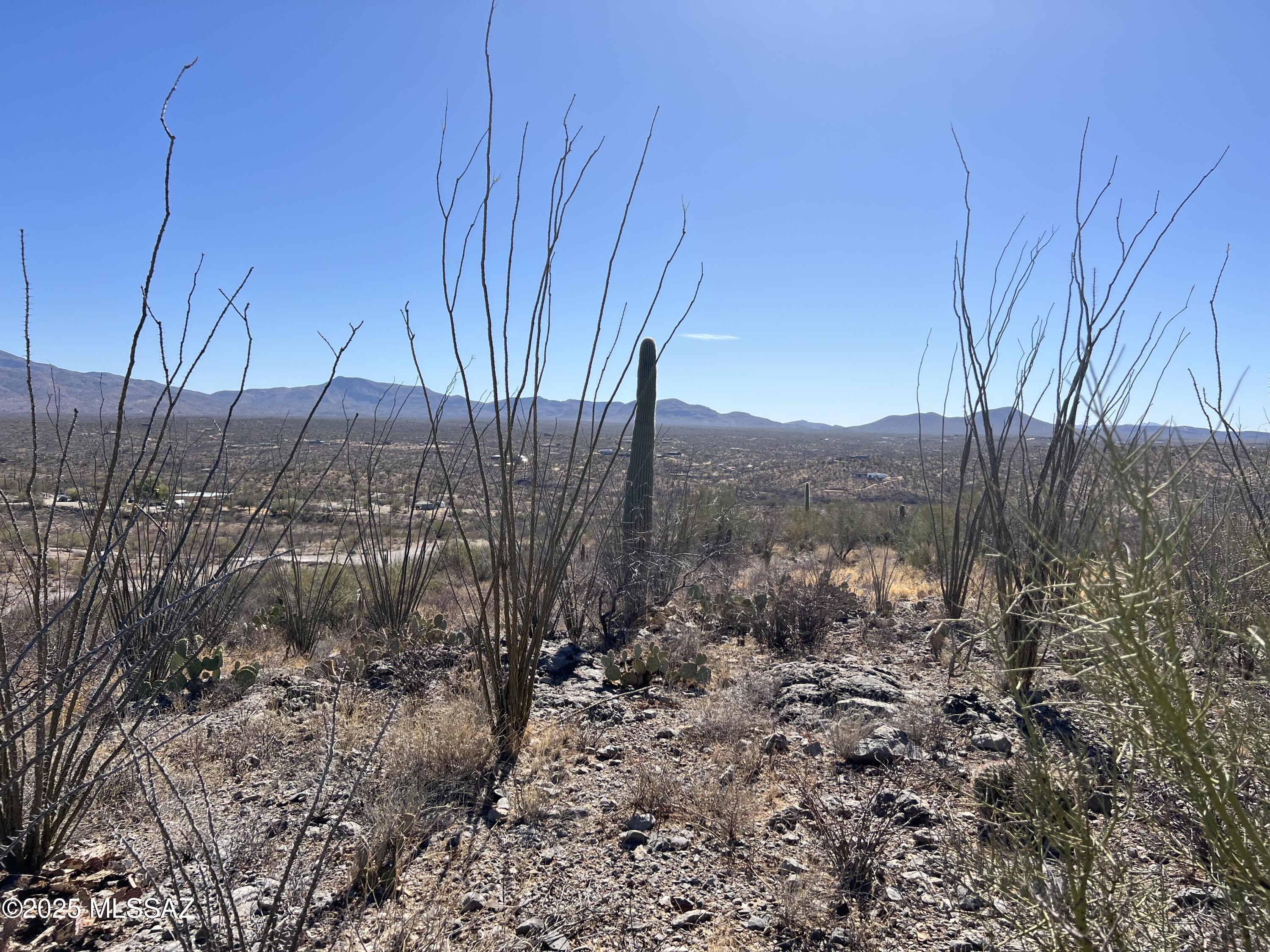 Rocky desert land with a tall saguaro overlooking a valley and distant mountains.