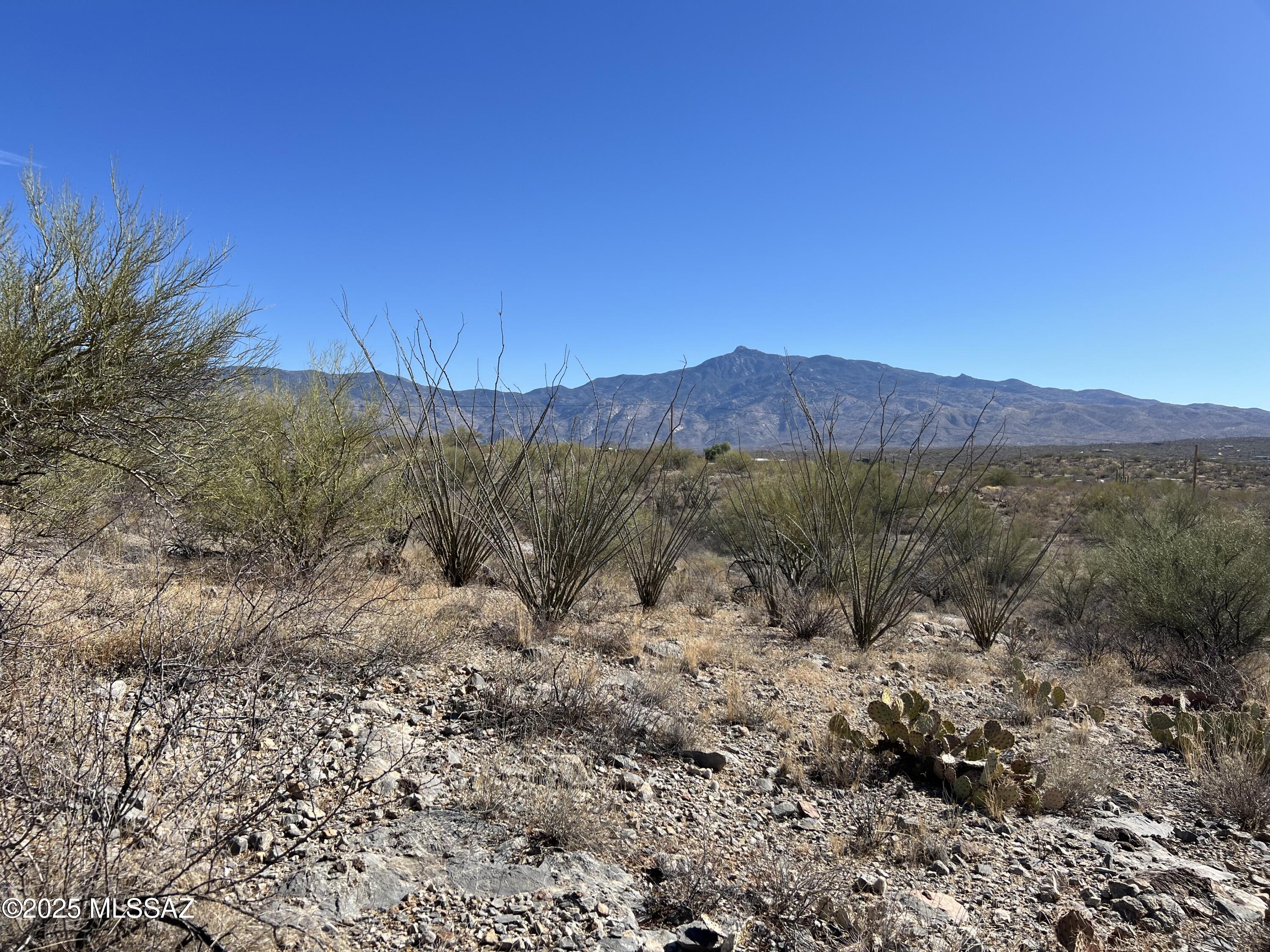 Rocky desert land with ocotillo and prickly pear, overlooking a distant mountain range.