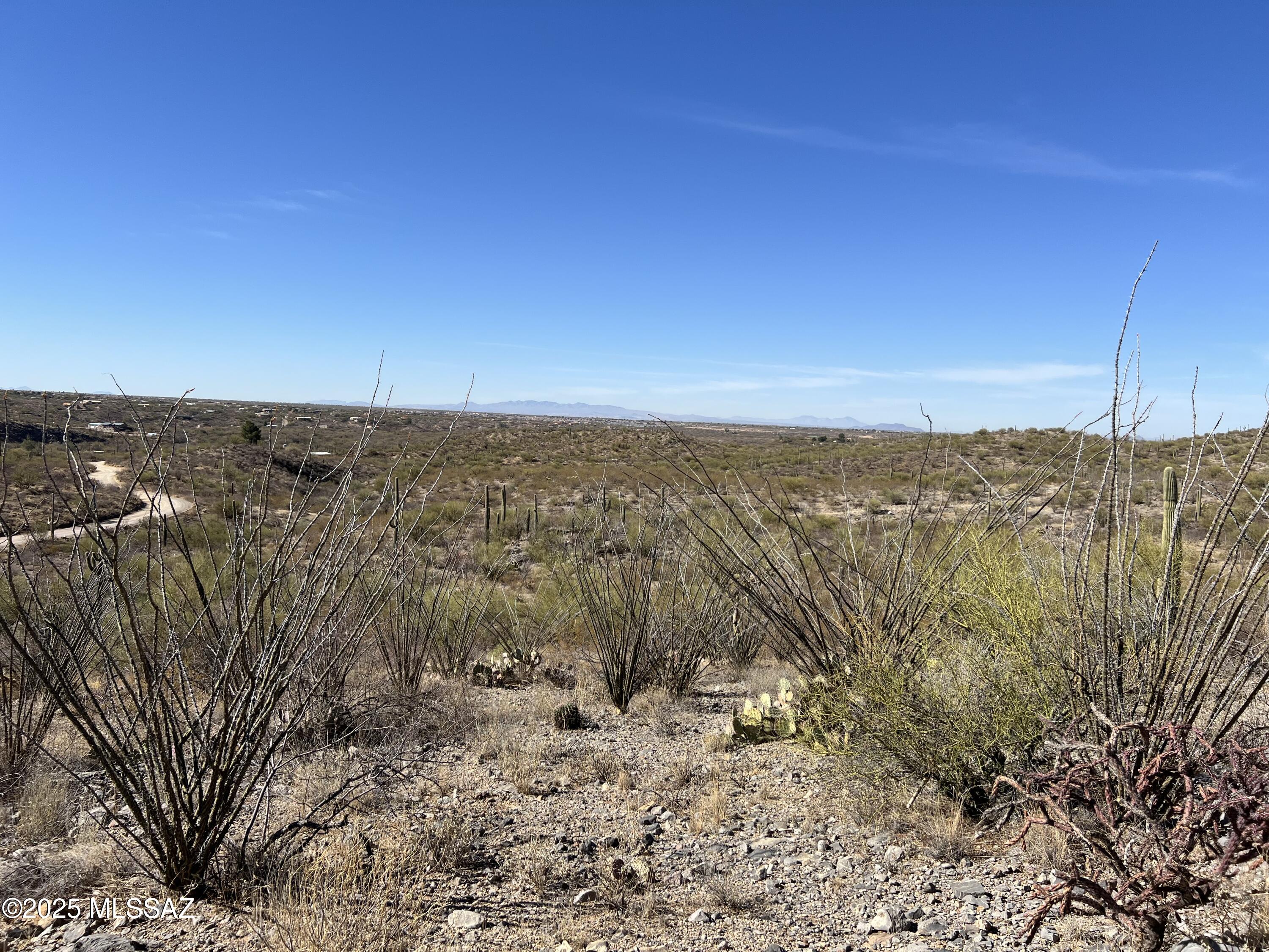 Rocky desert property with ocotillo, prickly pear, a winding dirt track, and distant mountains.