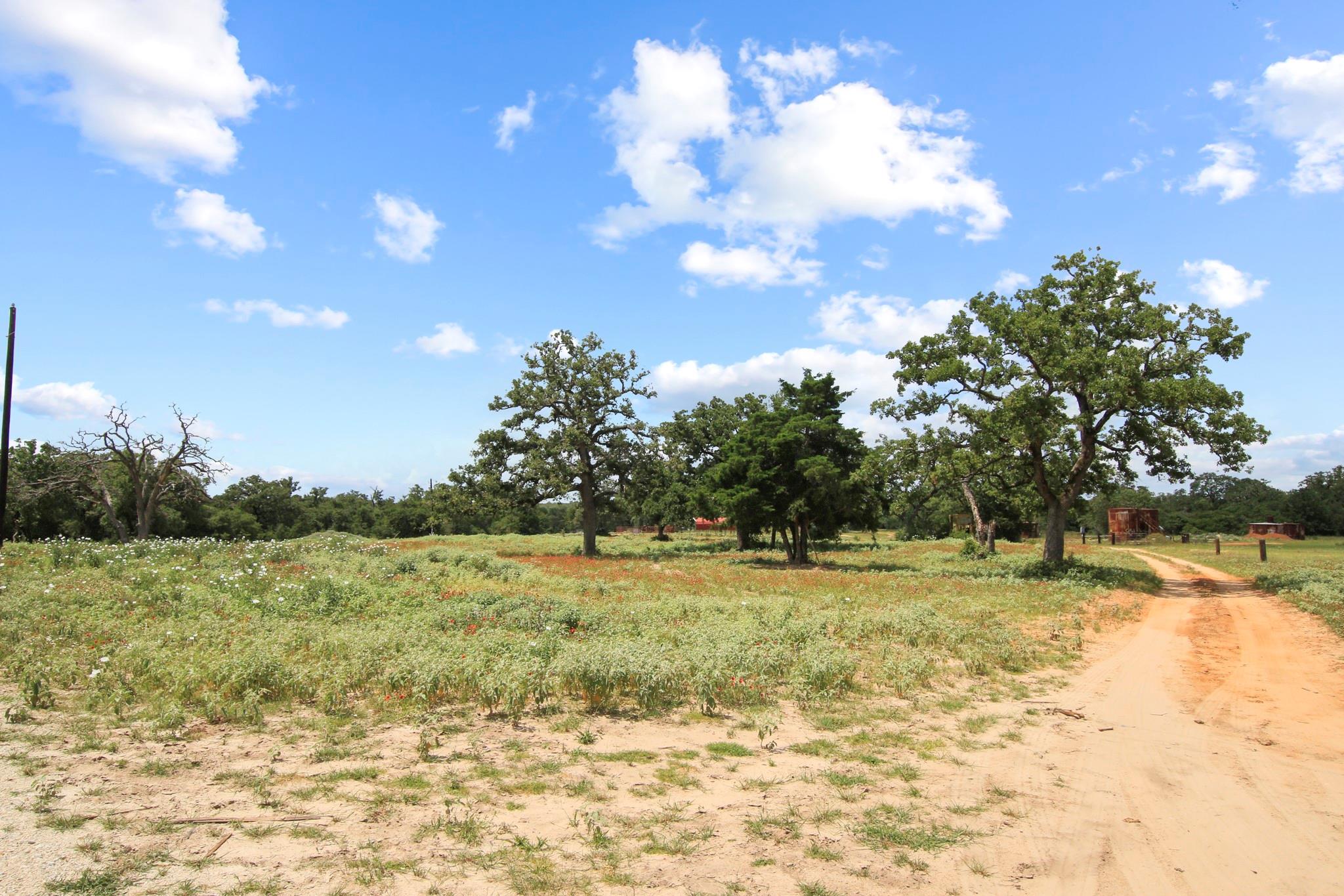 Tract 14 The Ranches at Woodland Trail