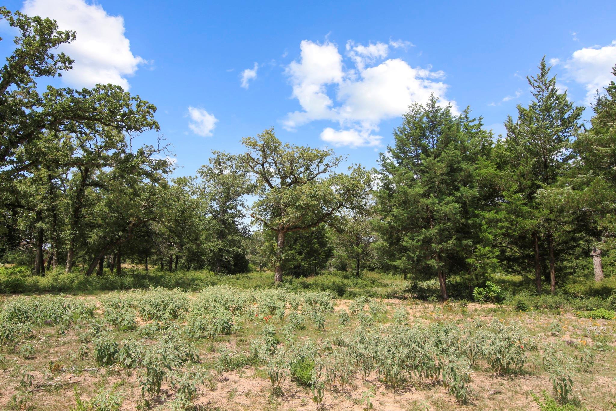 Tract 14 The Ranches at Woodland Trail