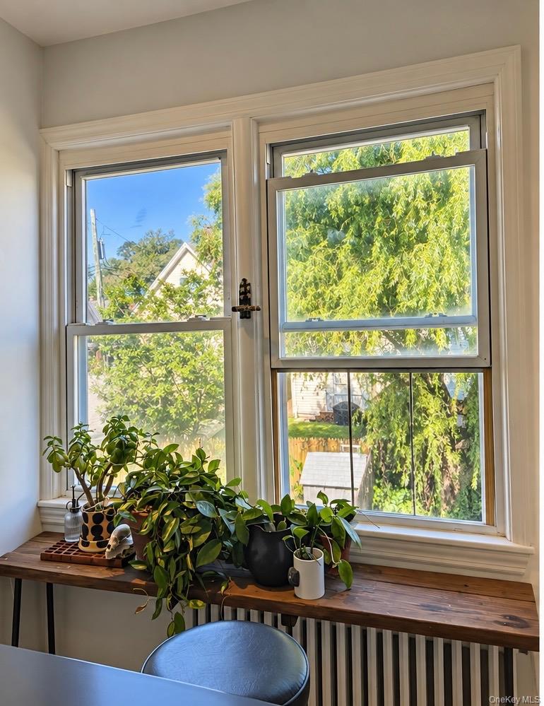 Bright room with two tall windows, leafy views, and potted plants on a wooden shelf.
