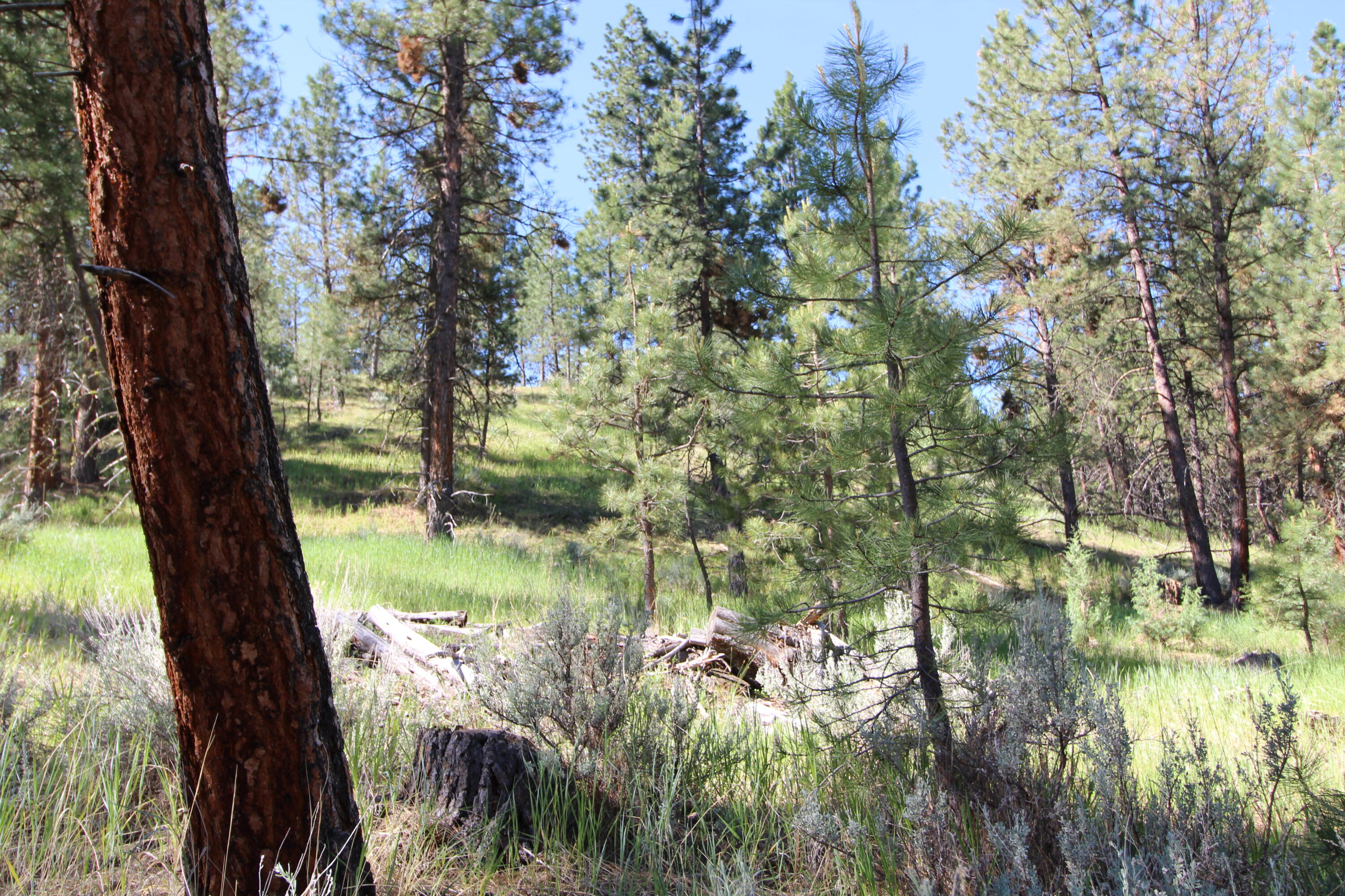 Lots 3 & 4 Jenkins Way