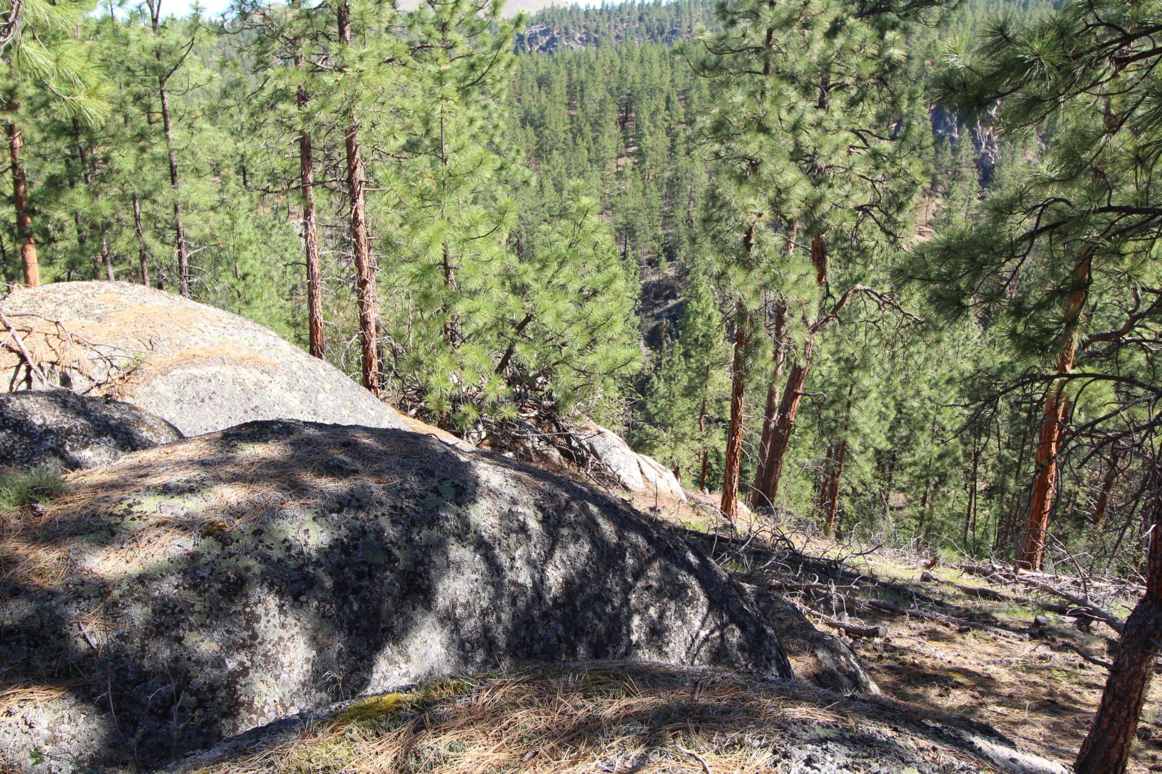 Lots 3 & 4 Jenkins Way