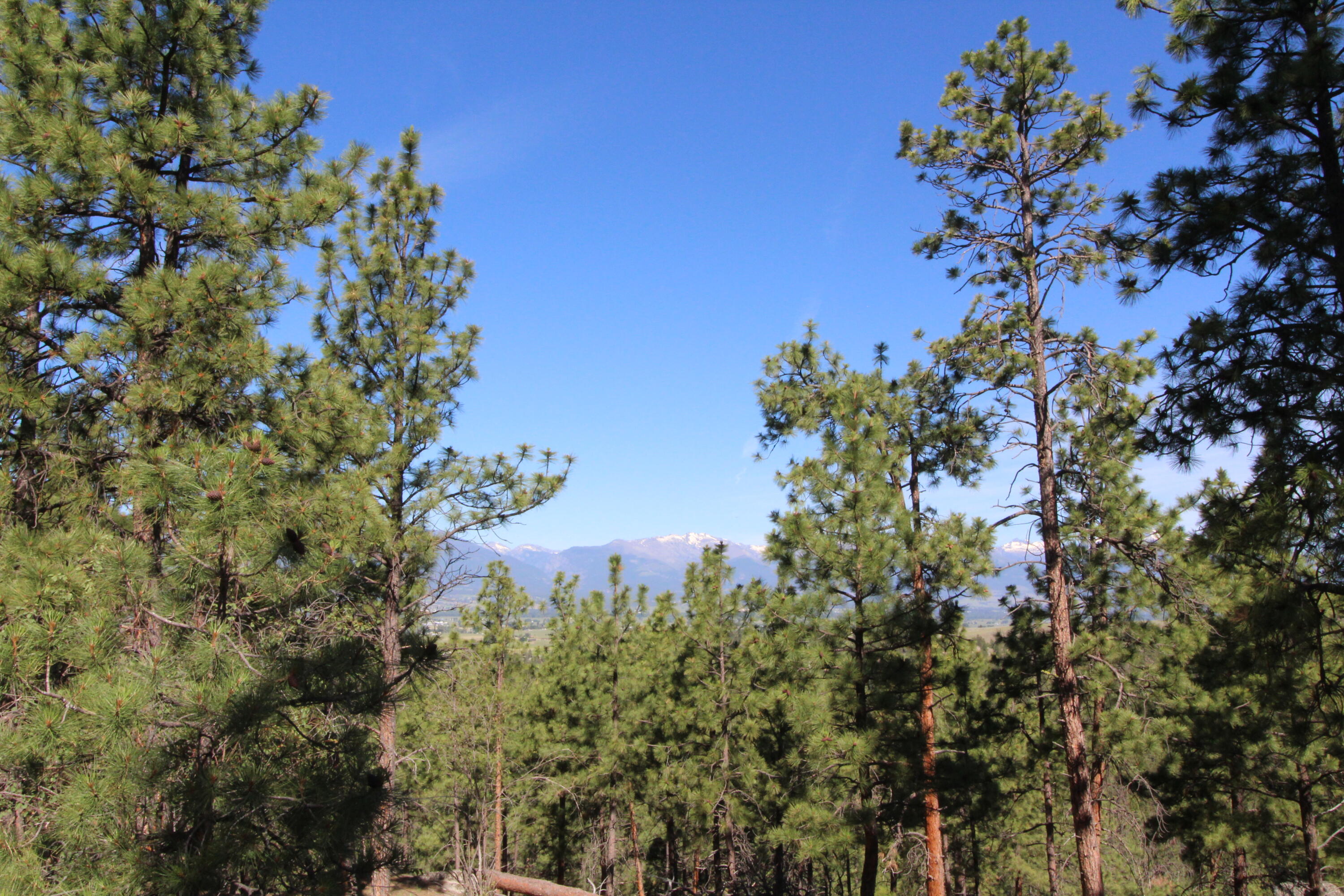 Lots 3 & 4 Jenkins Way