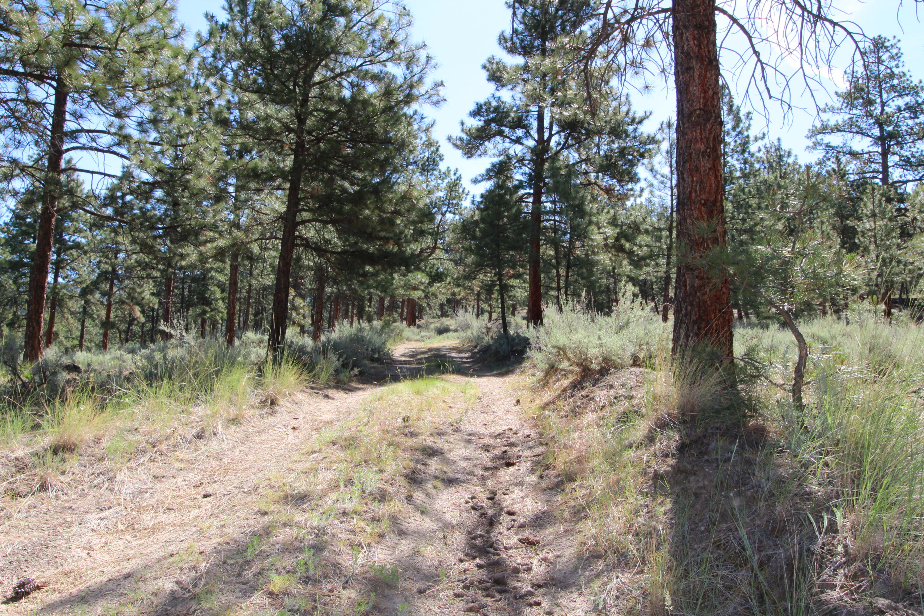 Lots 3 & 4 Jenkins Way