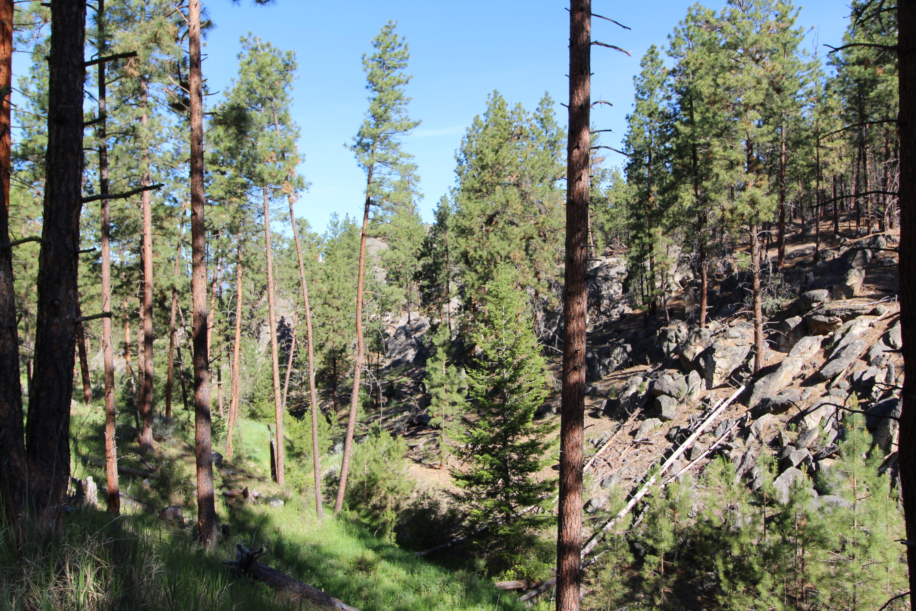 Lots 3 & 4 Jenkins Way