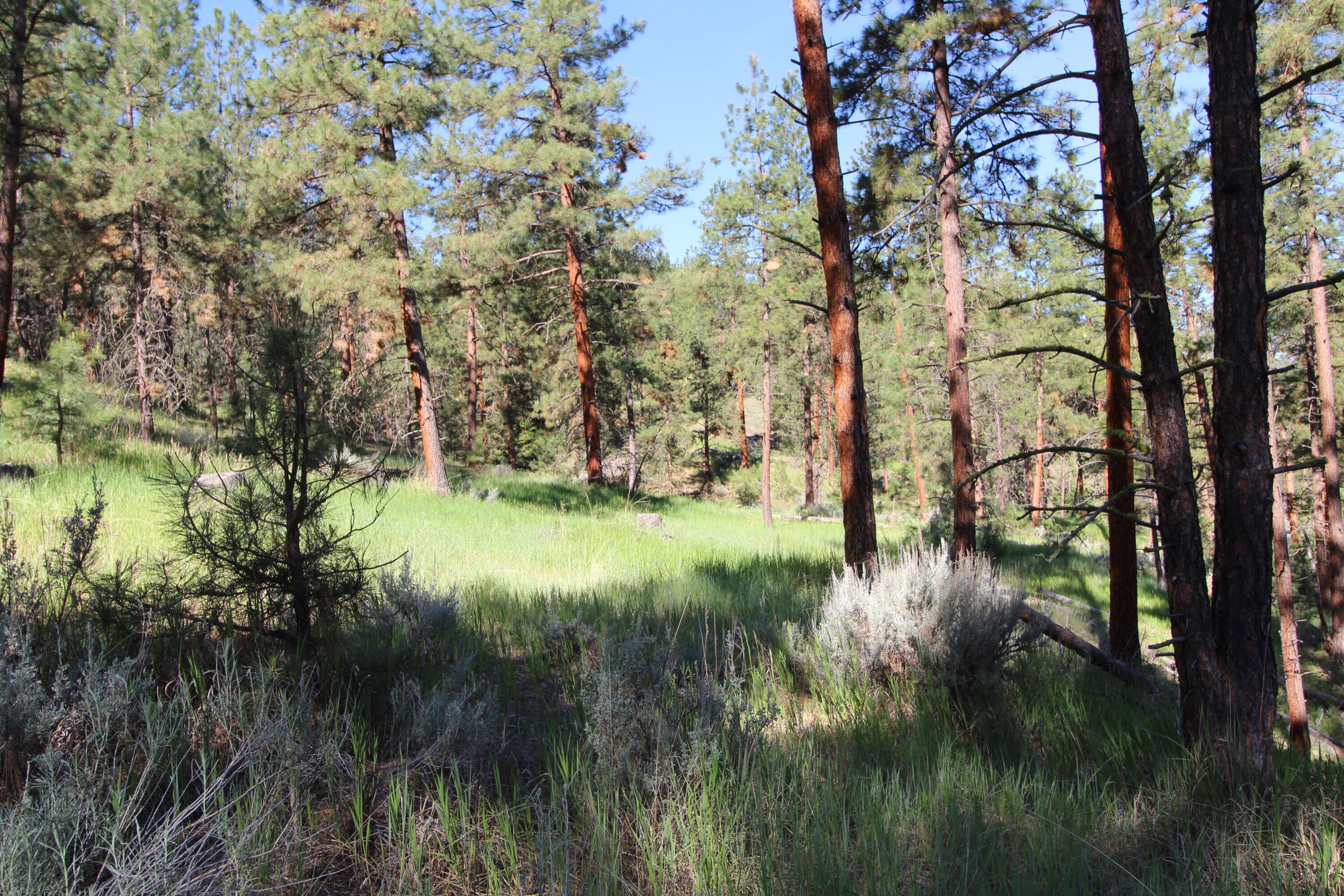 Lots 3 & 4 Jenkins Way