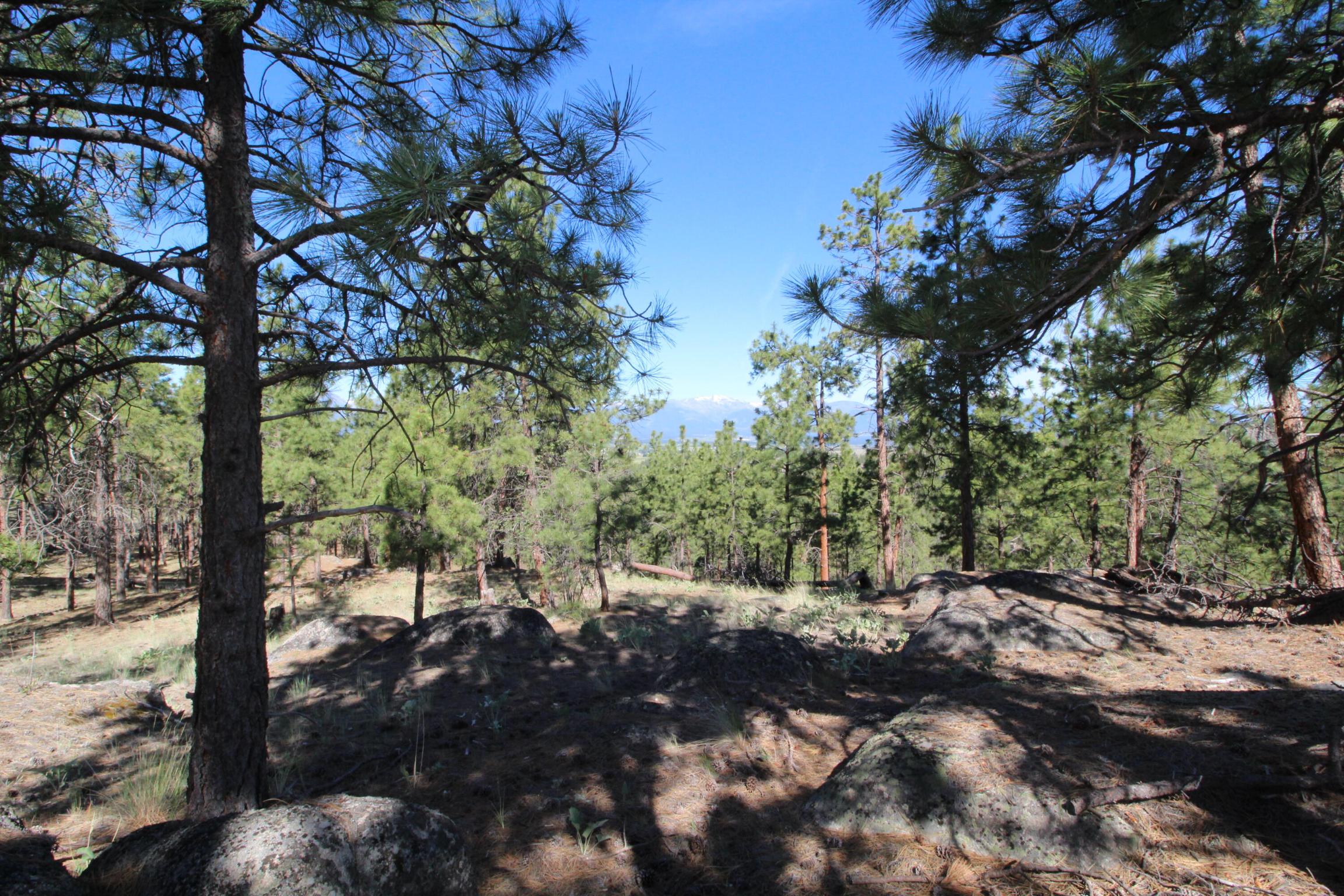 Lots 3 & 4 Jenkins Way