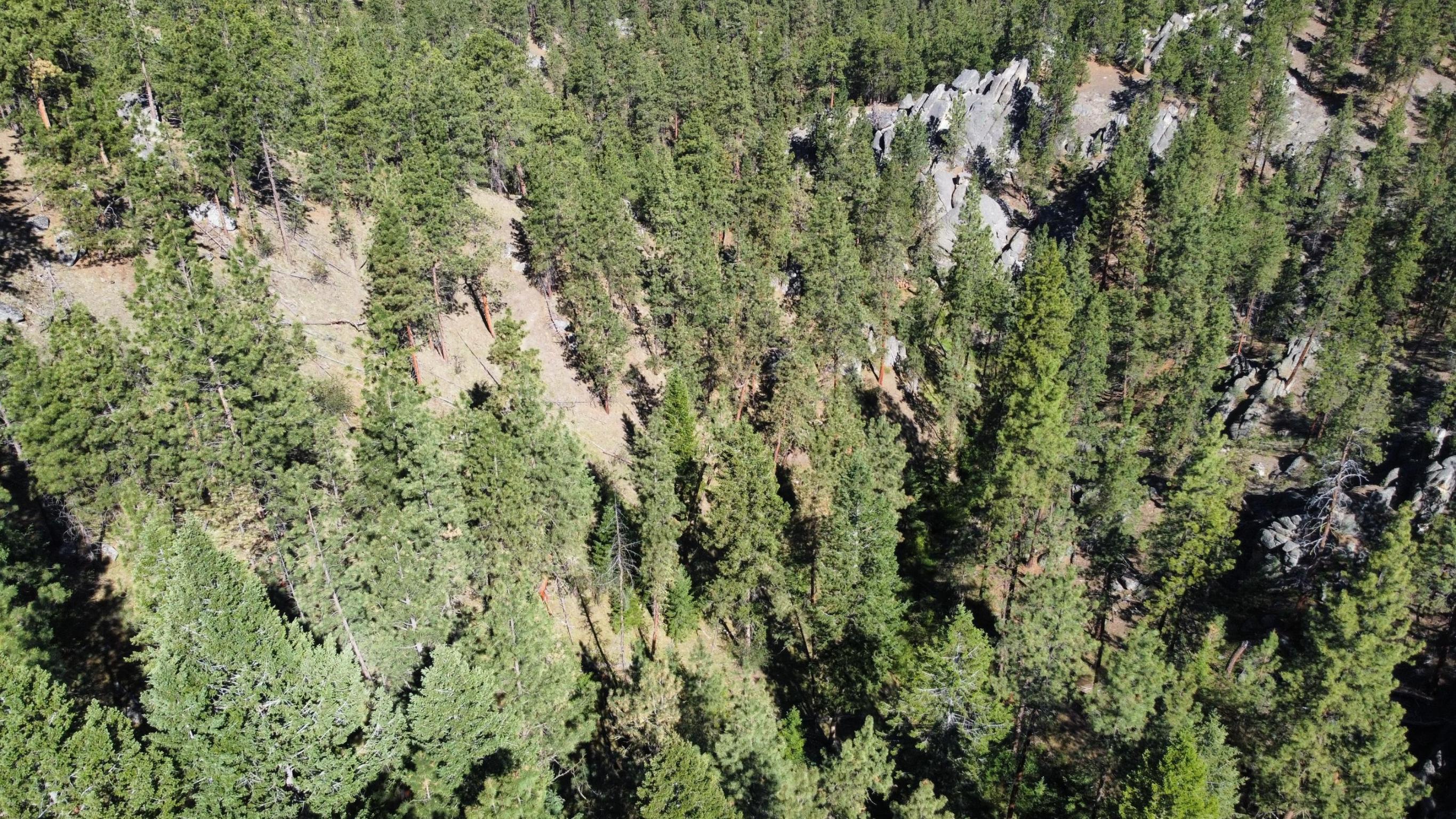 Lots 3 & 4 Jenkins Way