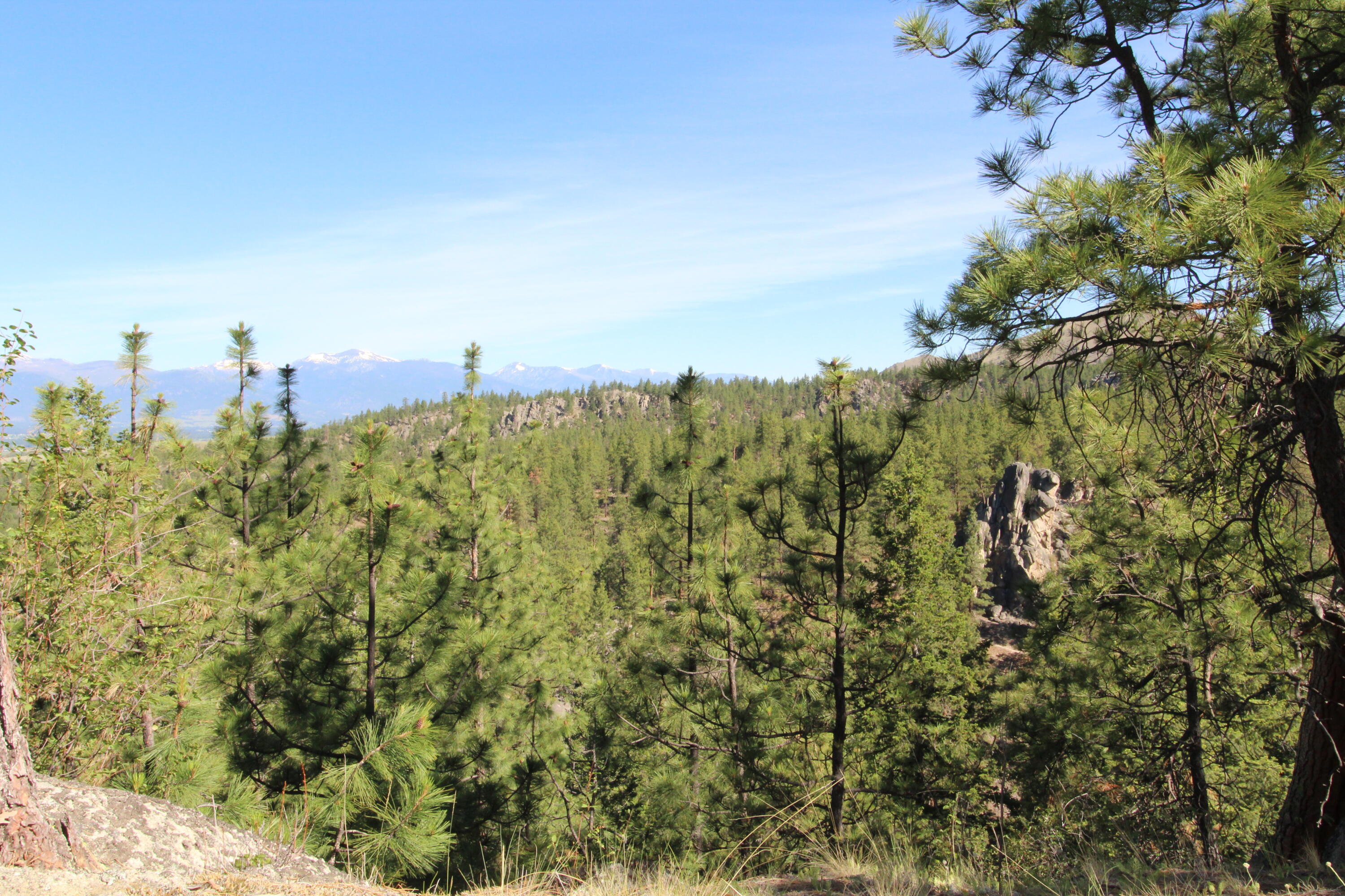 Lots 3 & 4 Jenkins Way