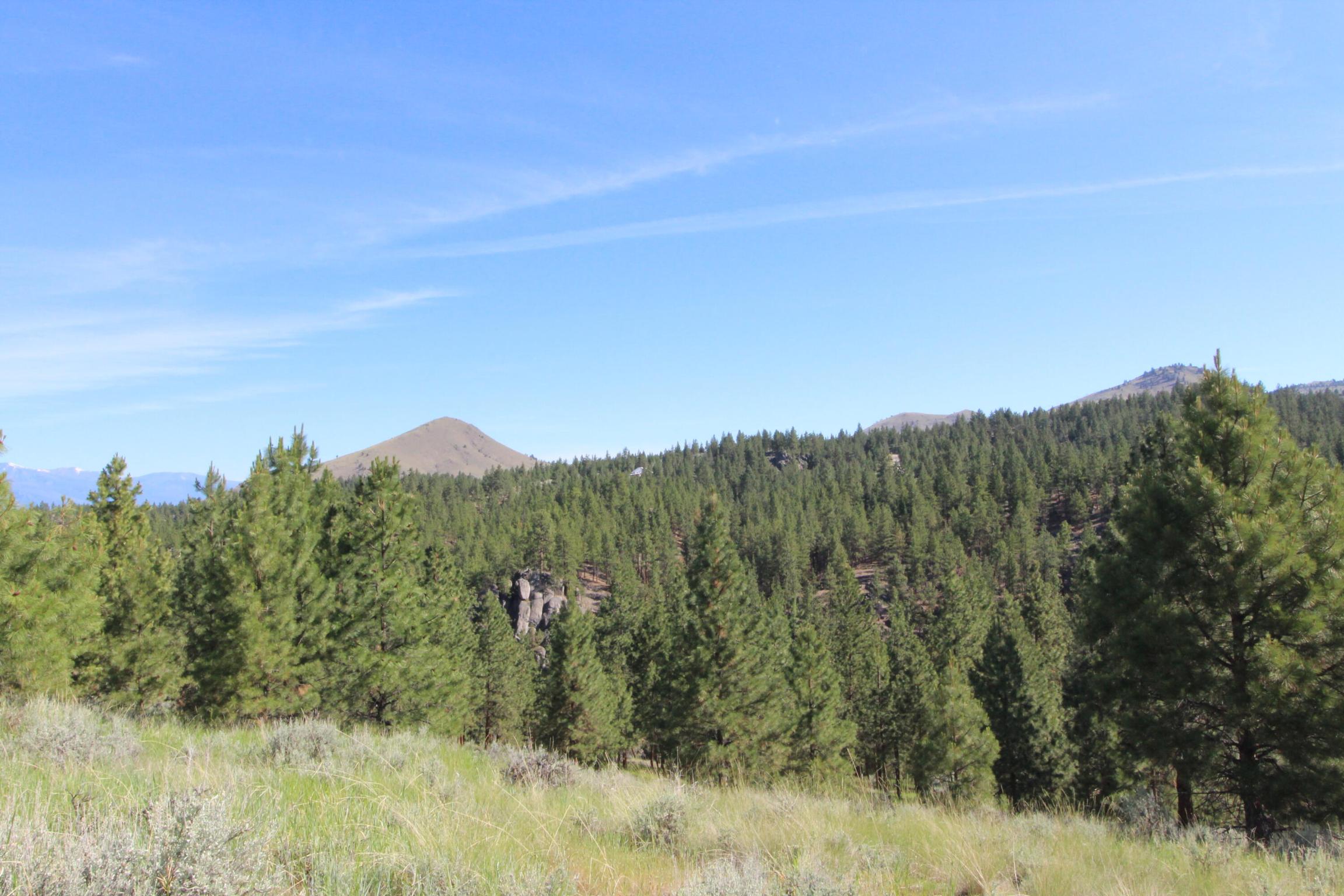 Lots 3 & 4 Jenkins Way