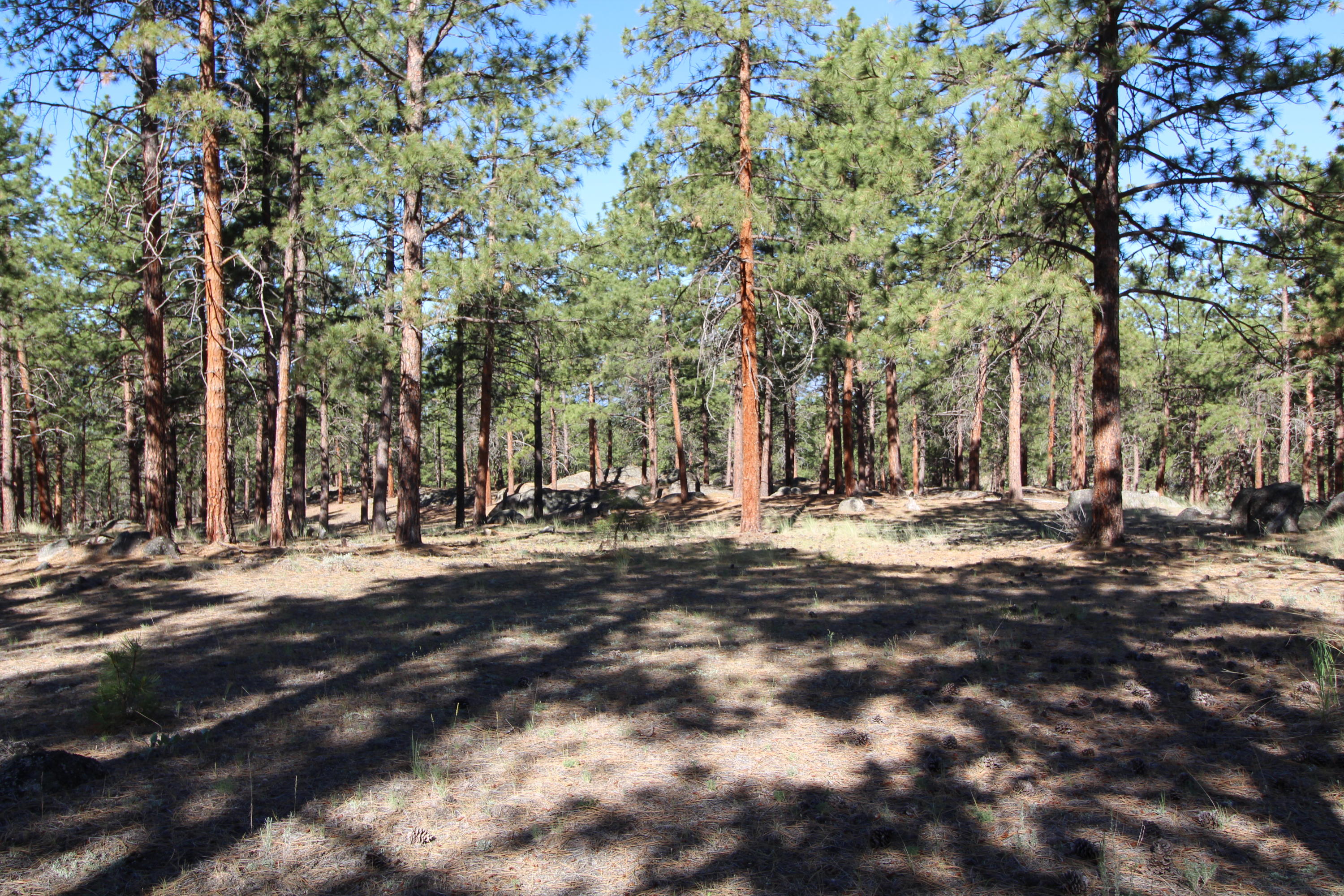 Lots 3 & 4 Jenkins Way