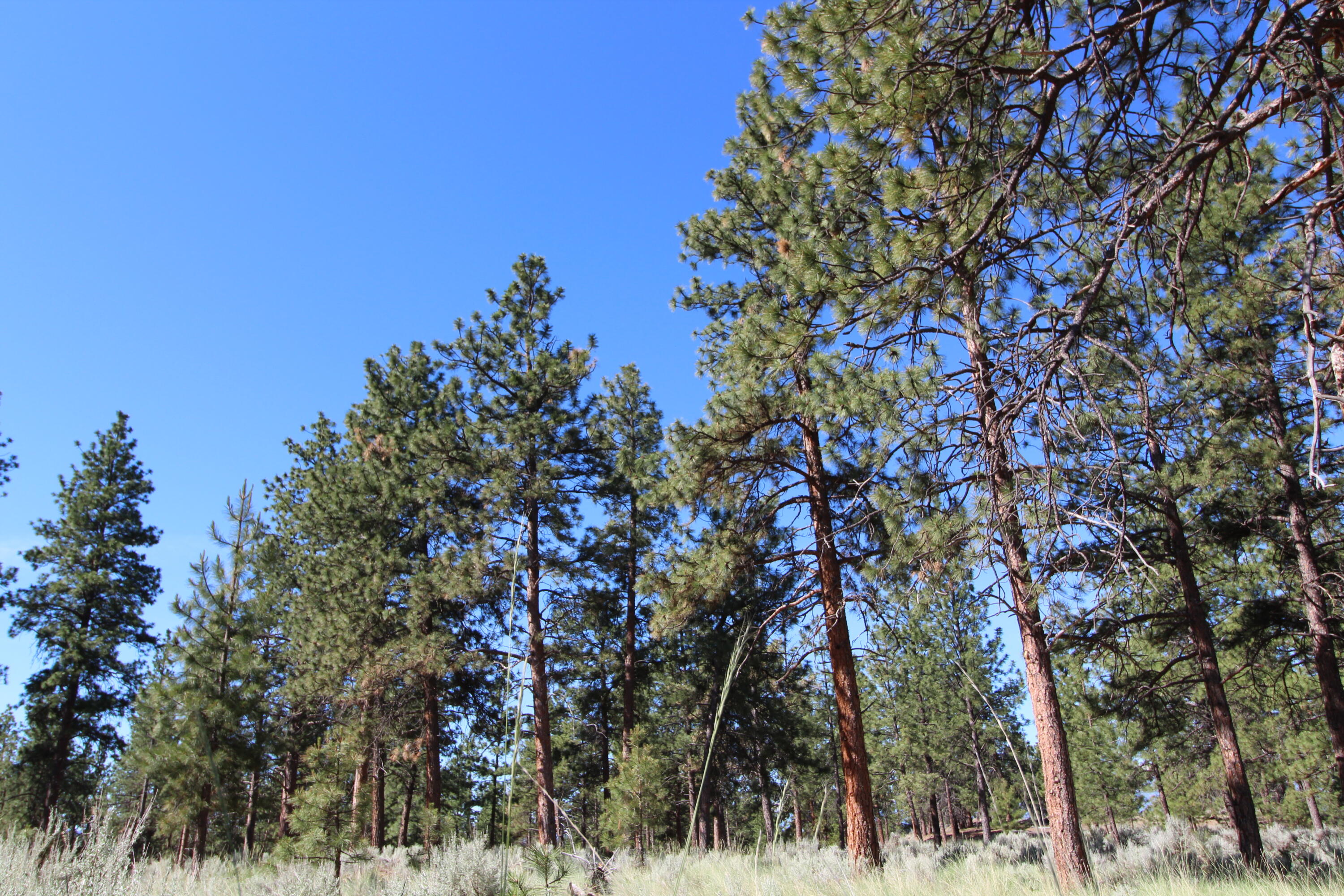 Lots 3 & 4 Jenkins Way