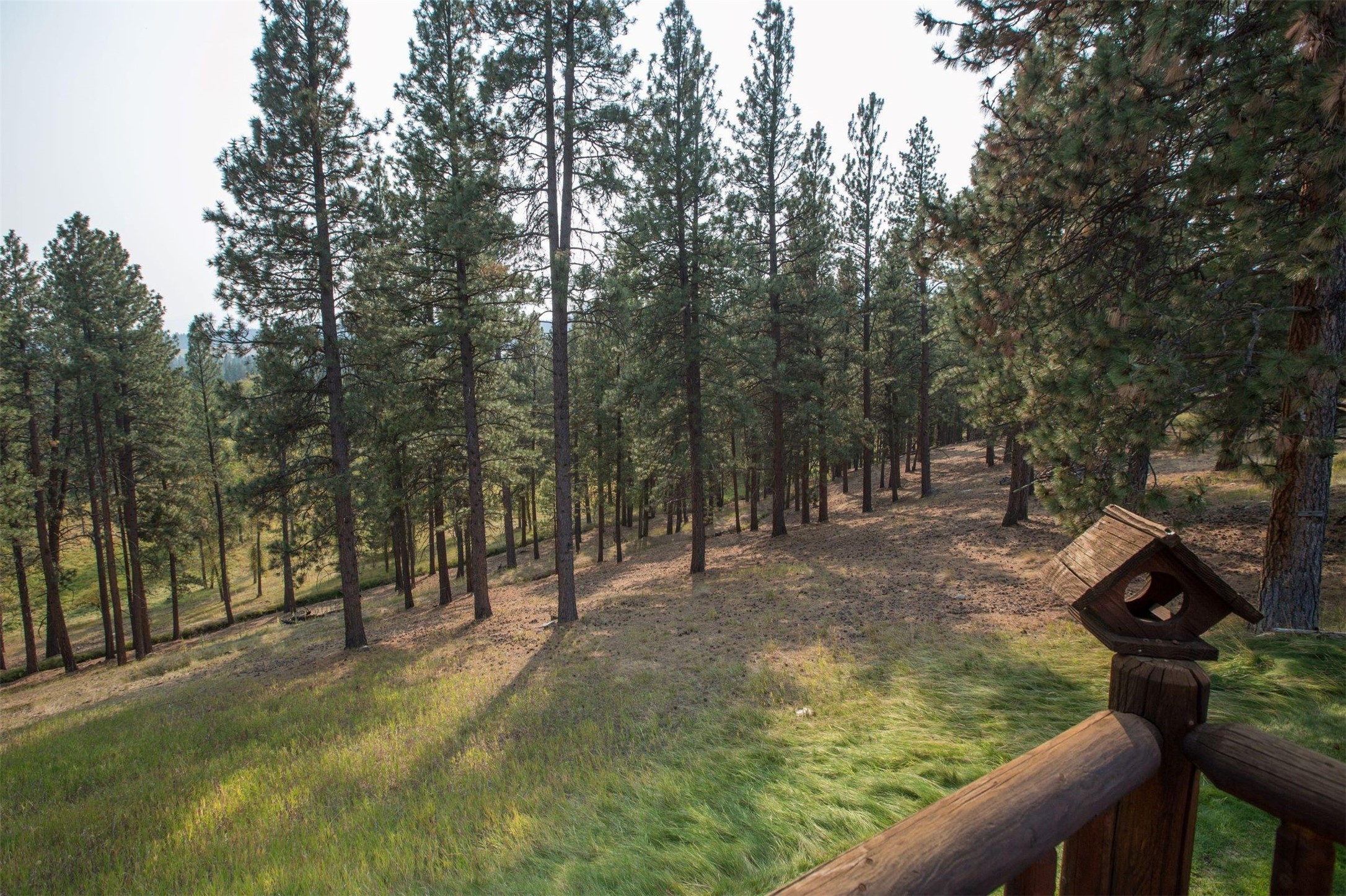 159,169,179 Painthorse Trail