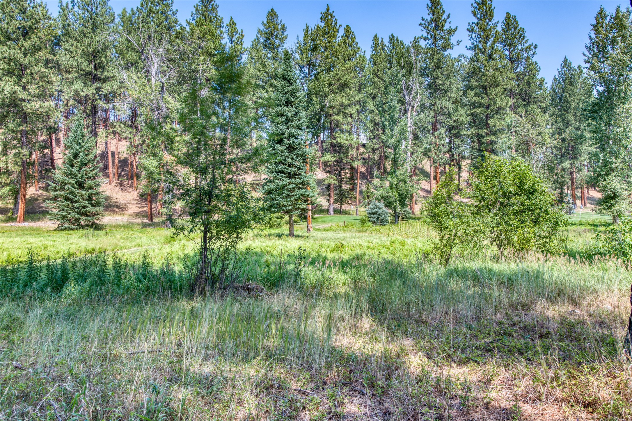 159,169,179 Painthorse Trail