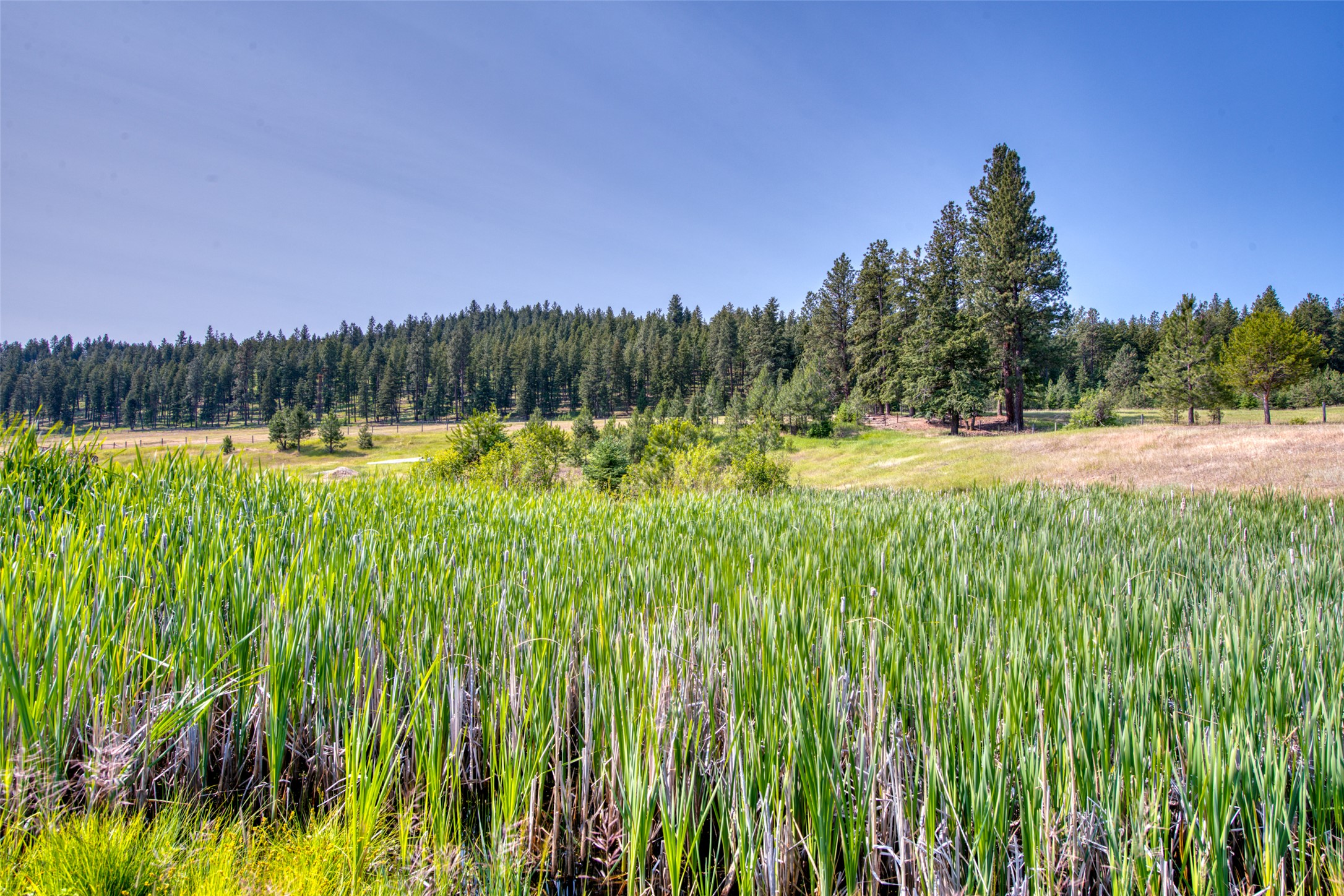 406 Chief Joseph Trail