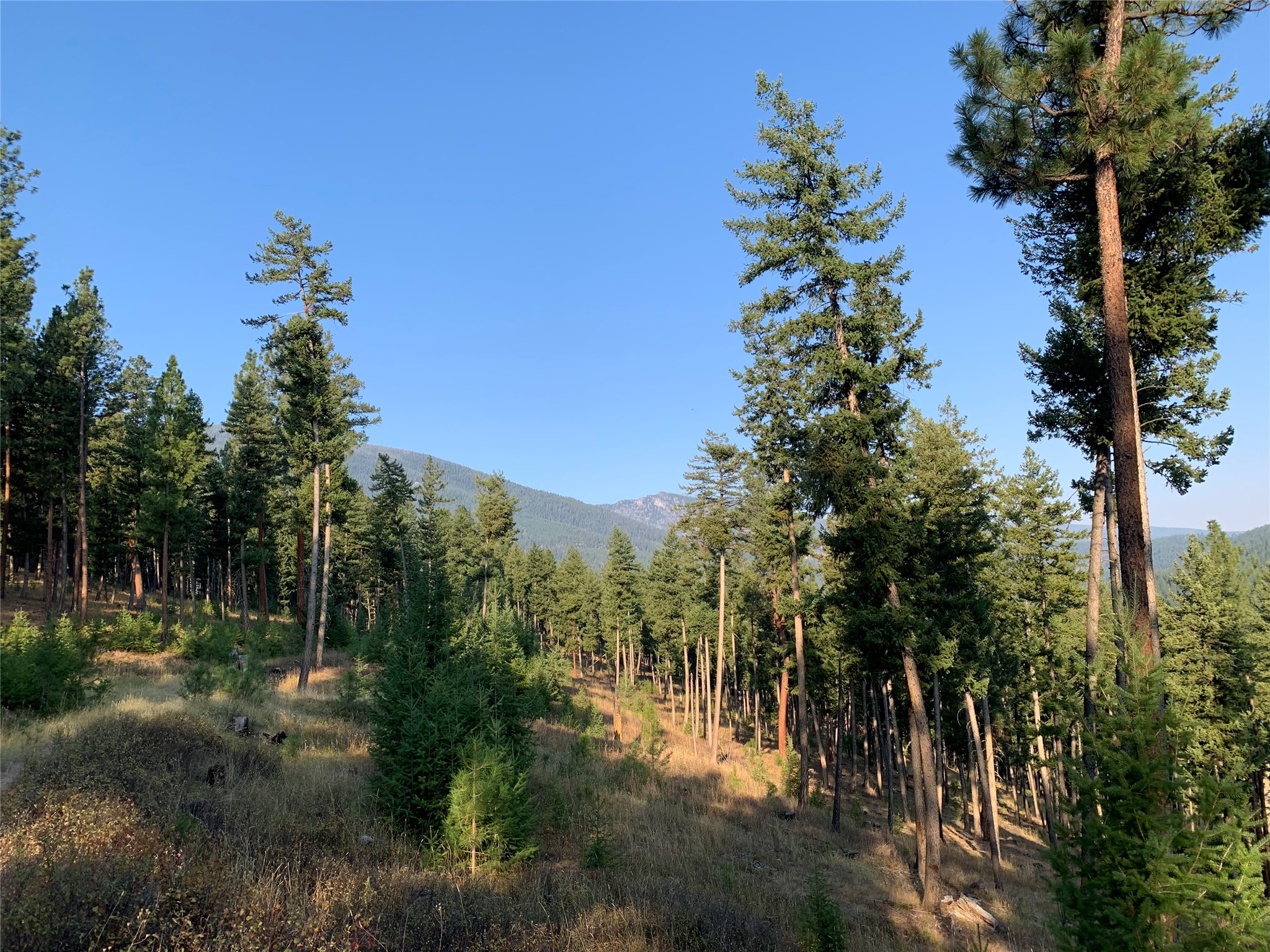 406 Chief Joseph Trail