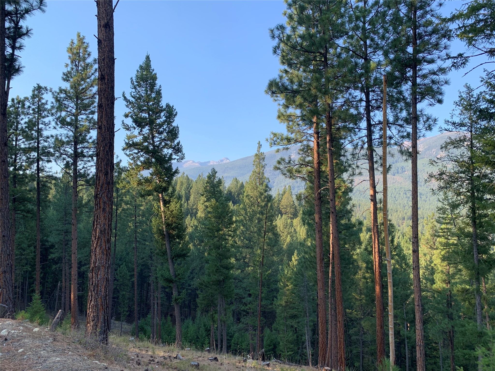 406 Chief Joseph Trail