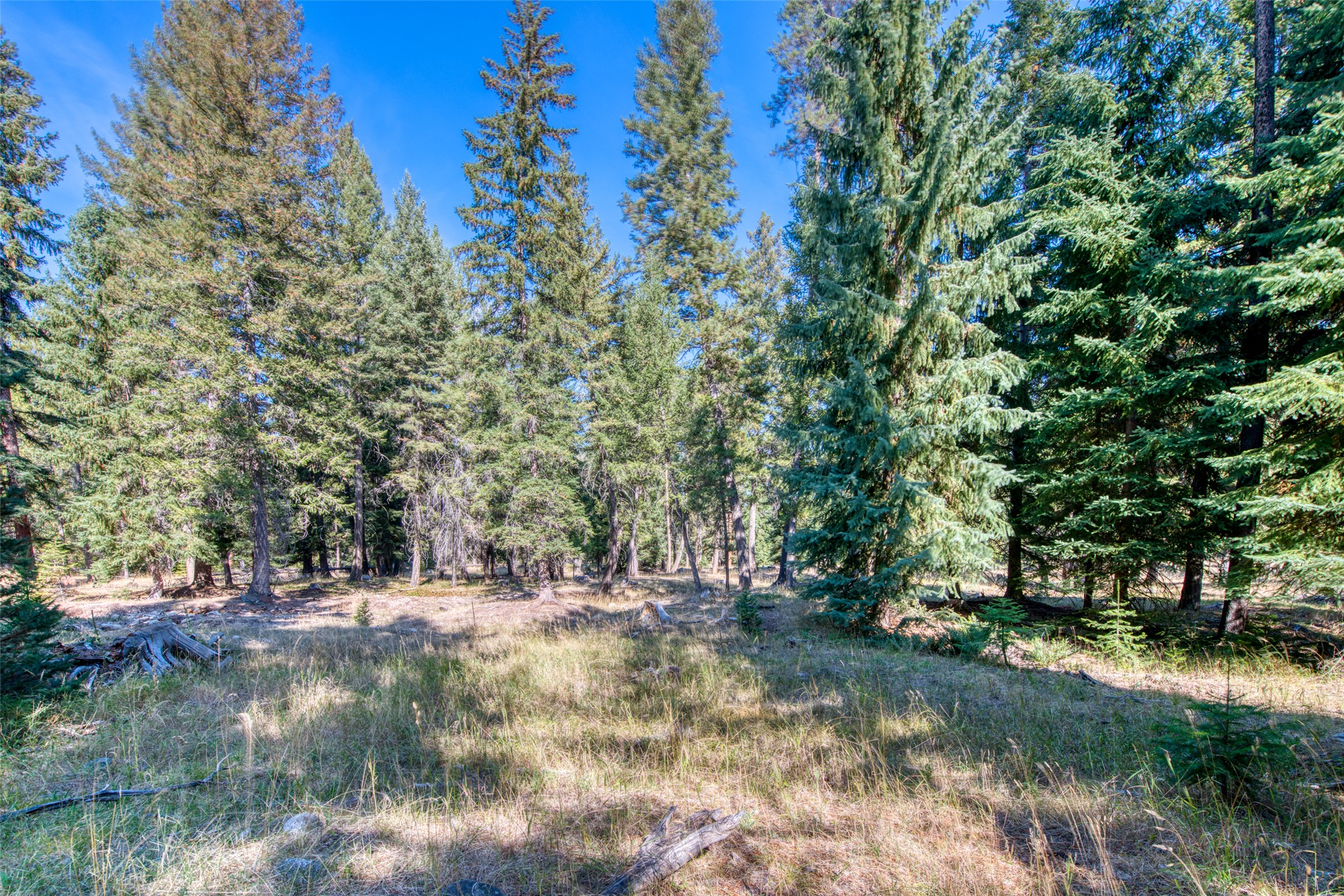 406 Chief Joseph Trail