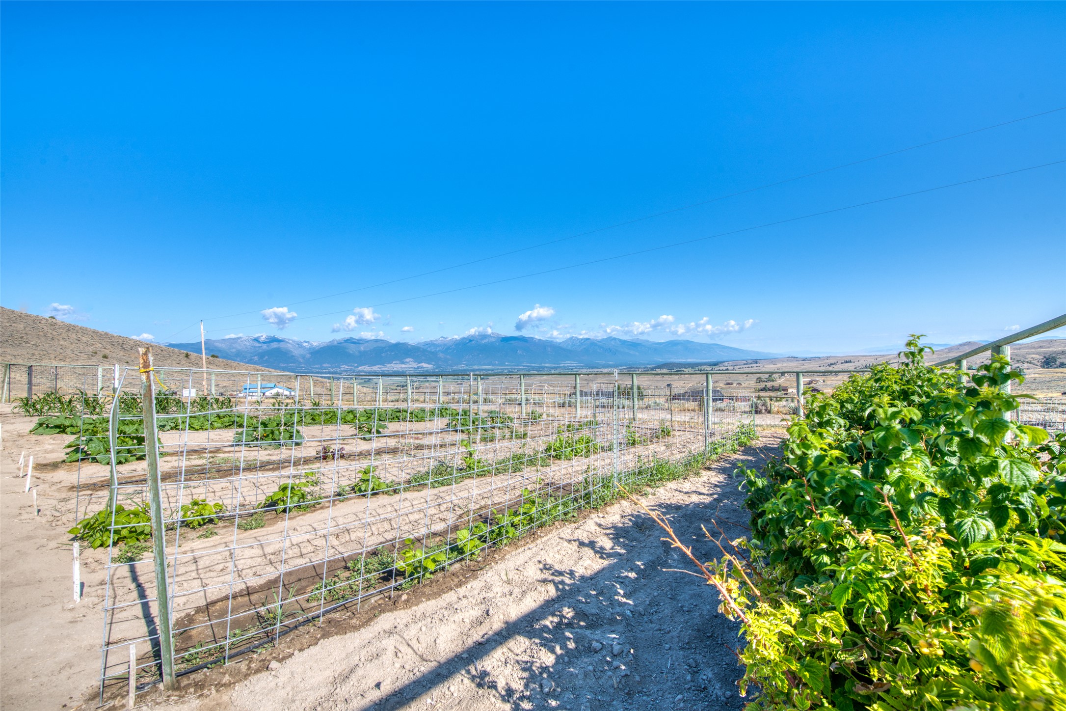 825 Mystic Horse Lane