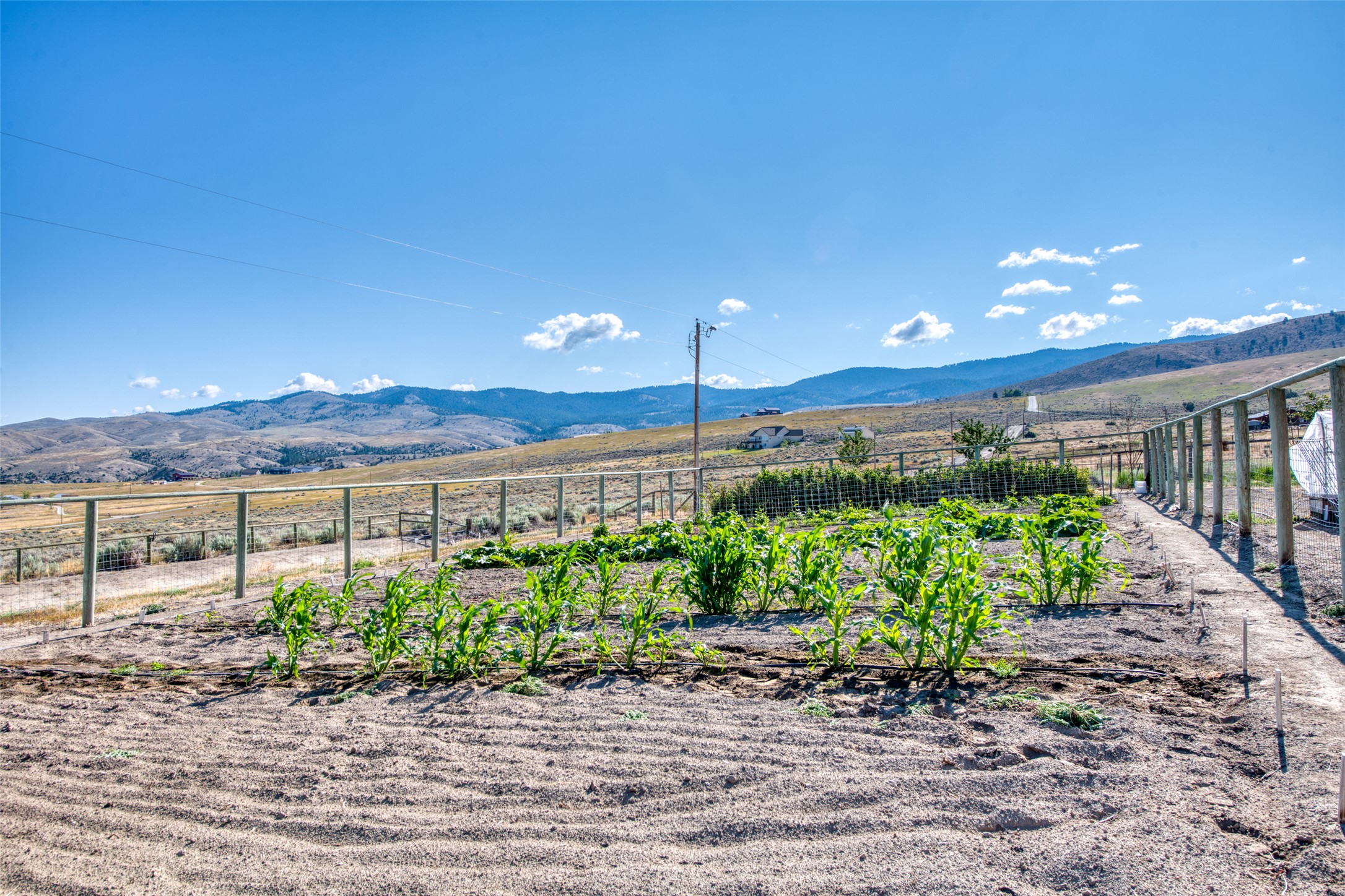 825 Mystic Horse Lane