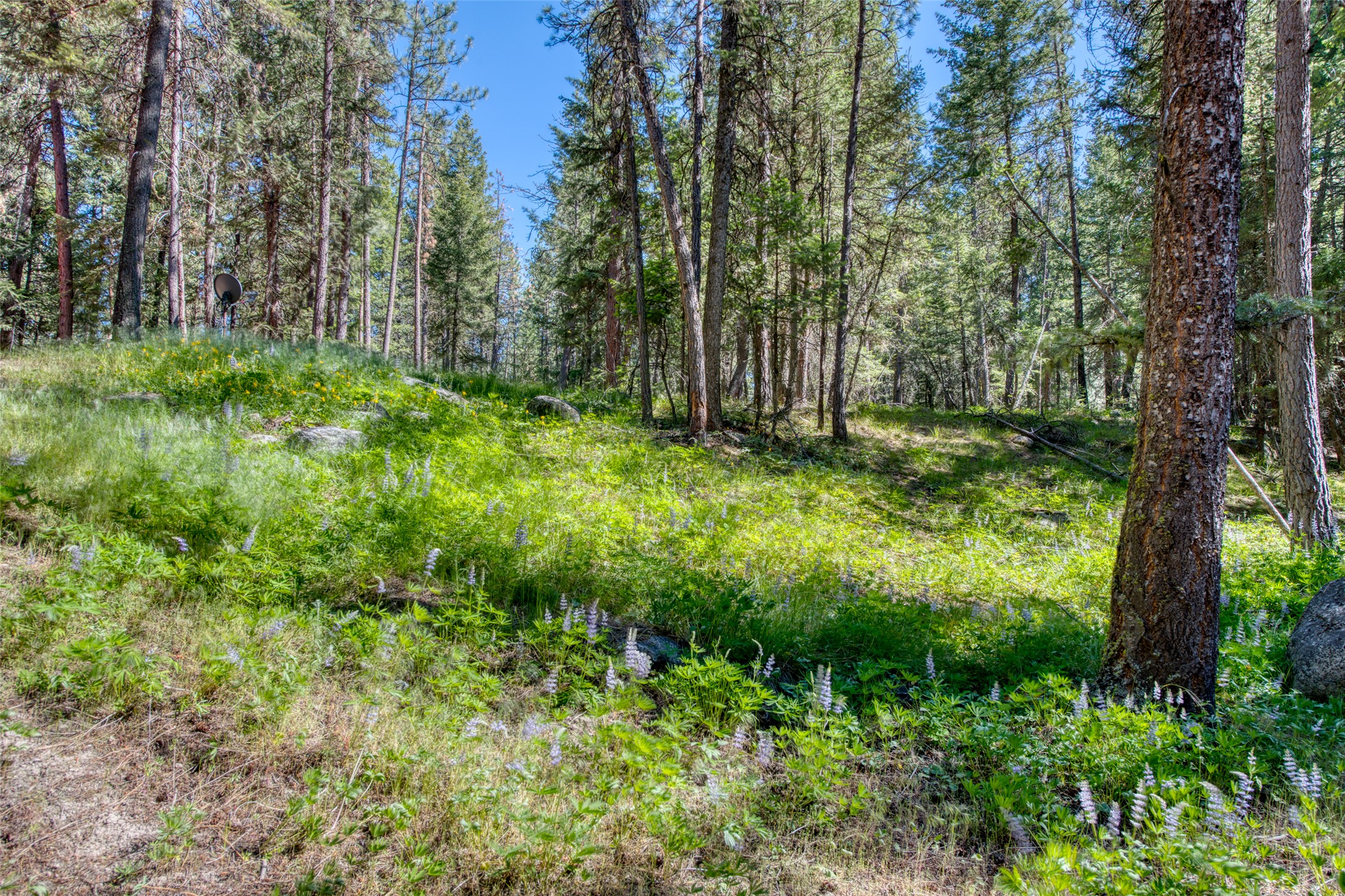 1062 Bear Creek Trail