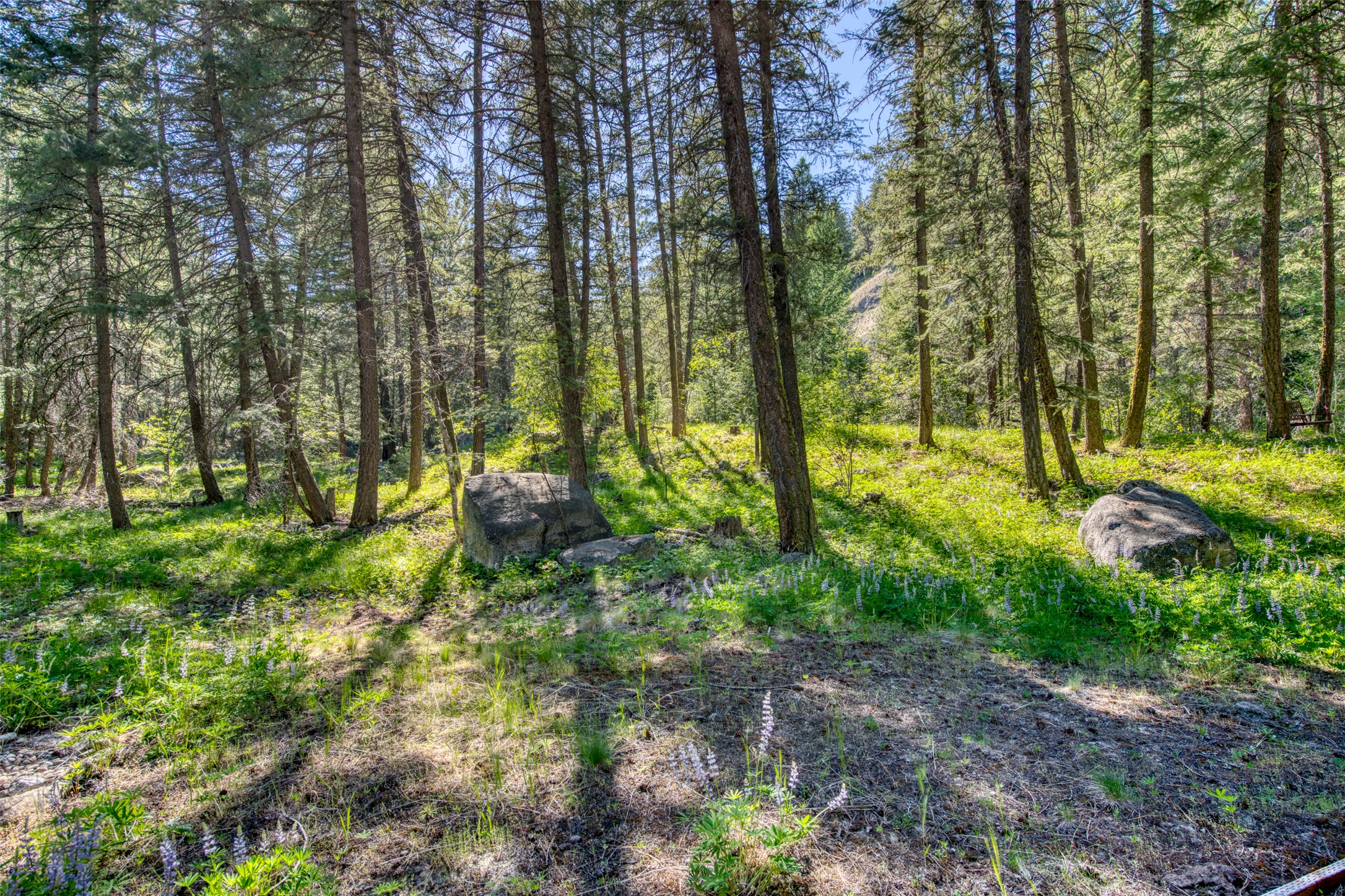 1062 Bear Creek Trail