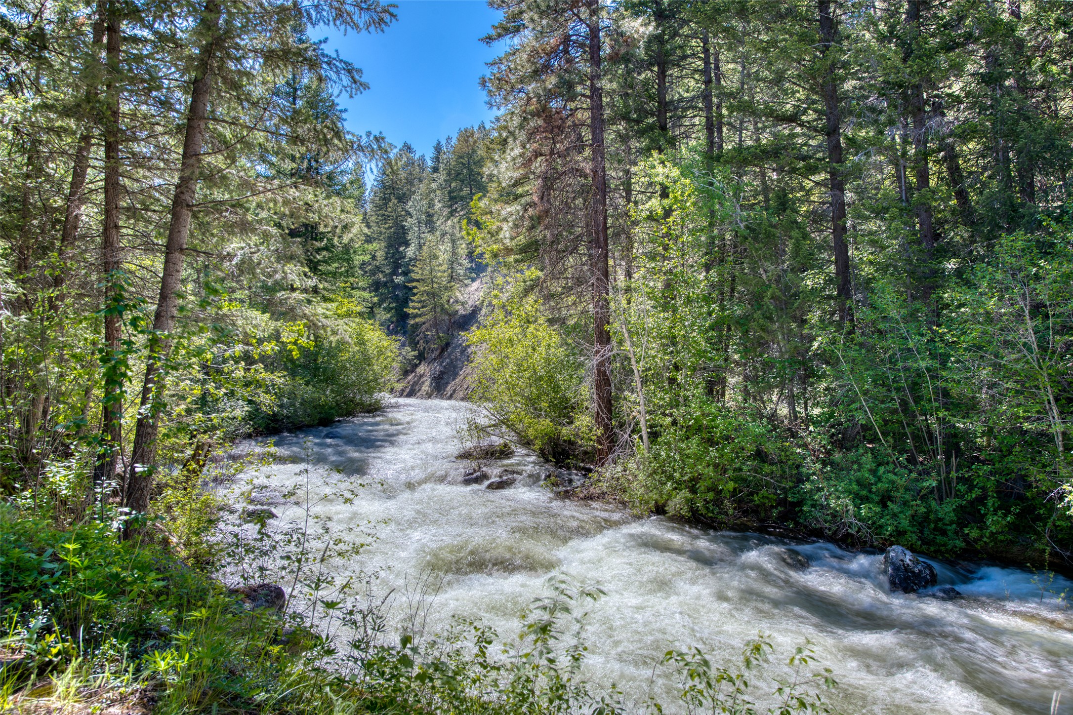 1062 Bear Creek Trail