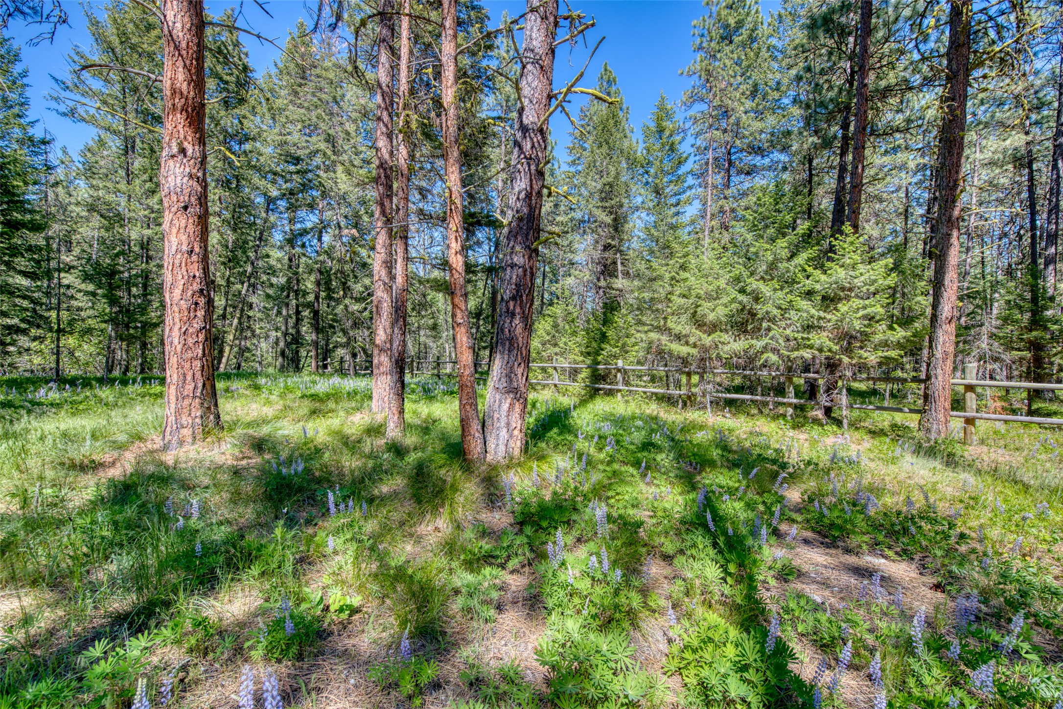 1062 Bear Creek Trail