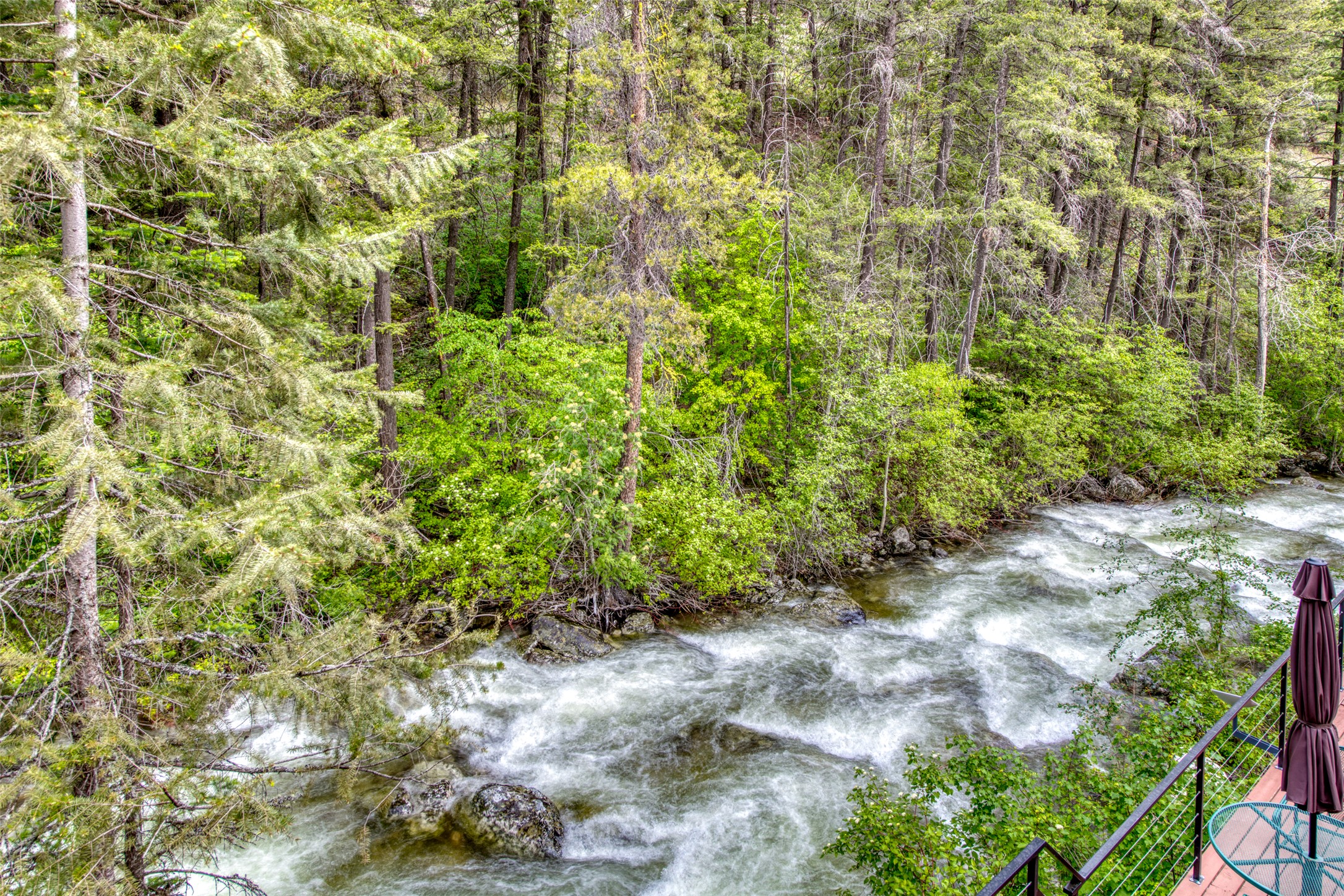 1062 Bear Creek Trail