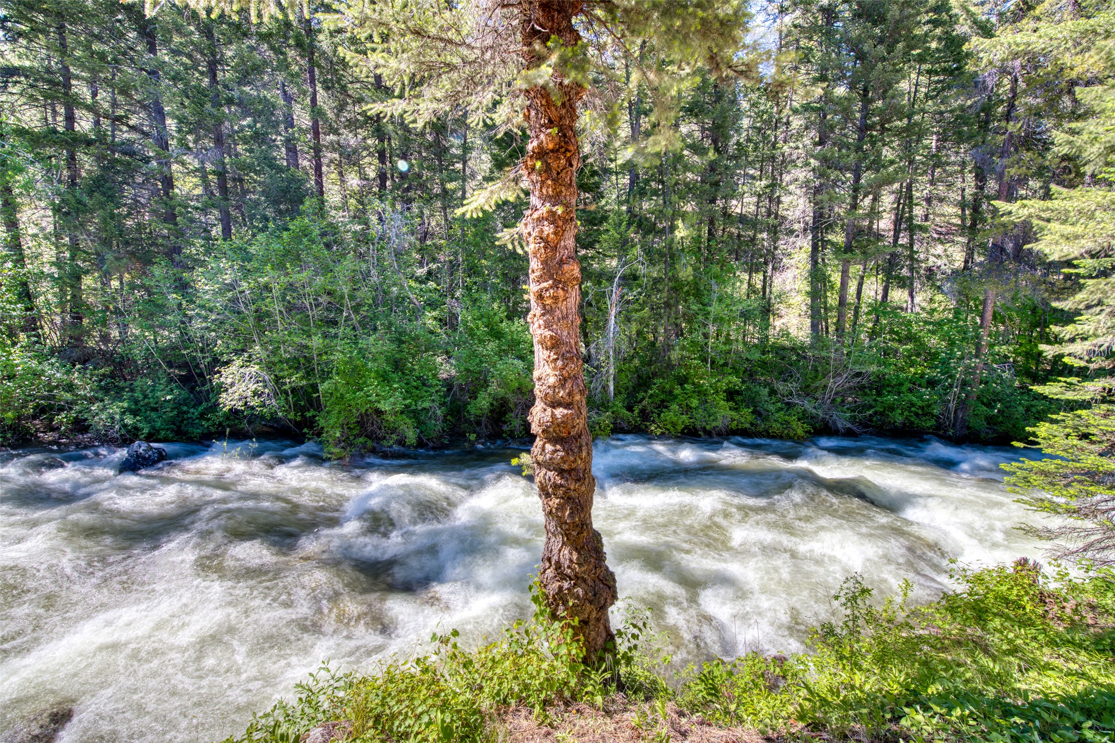 1062 Bear Creek Trail