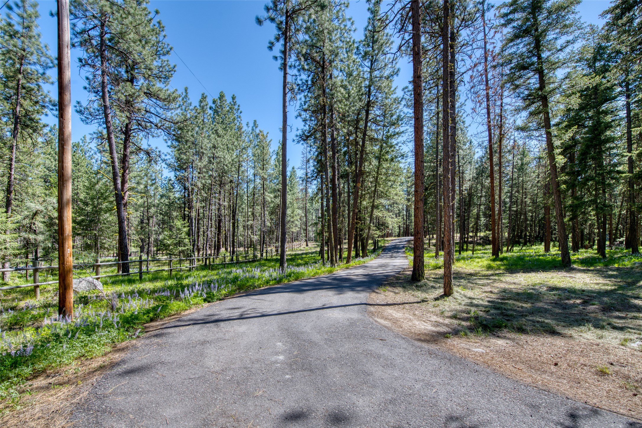 1062 Bear Creek Trail