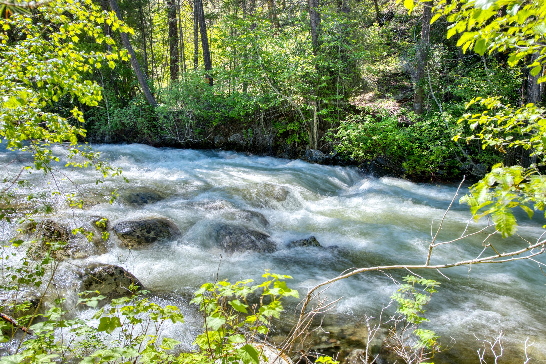 1062 Bear Creek Trail