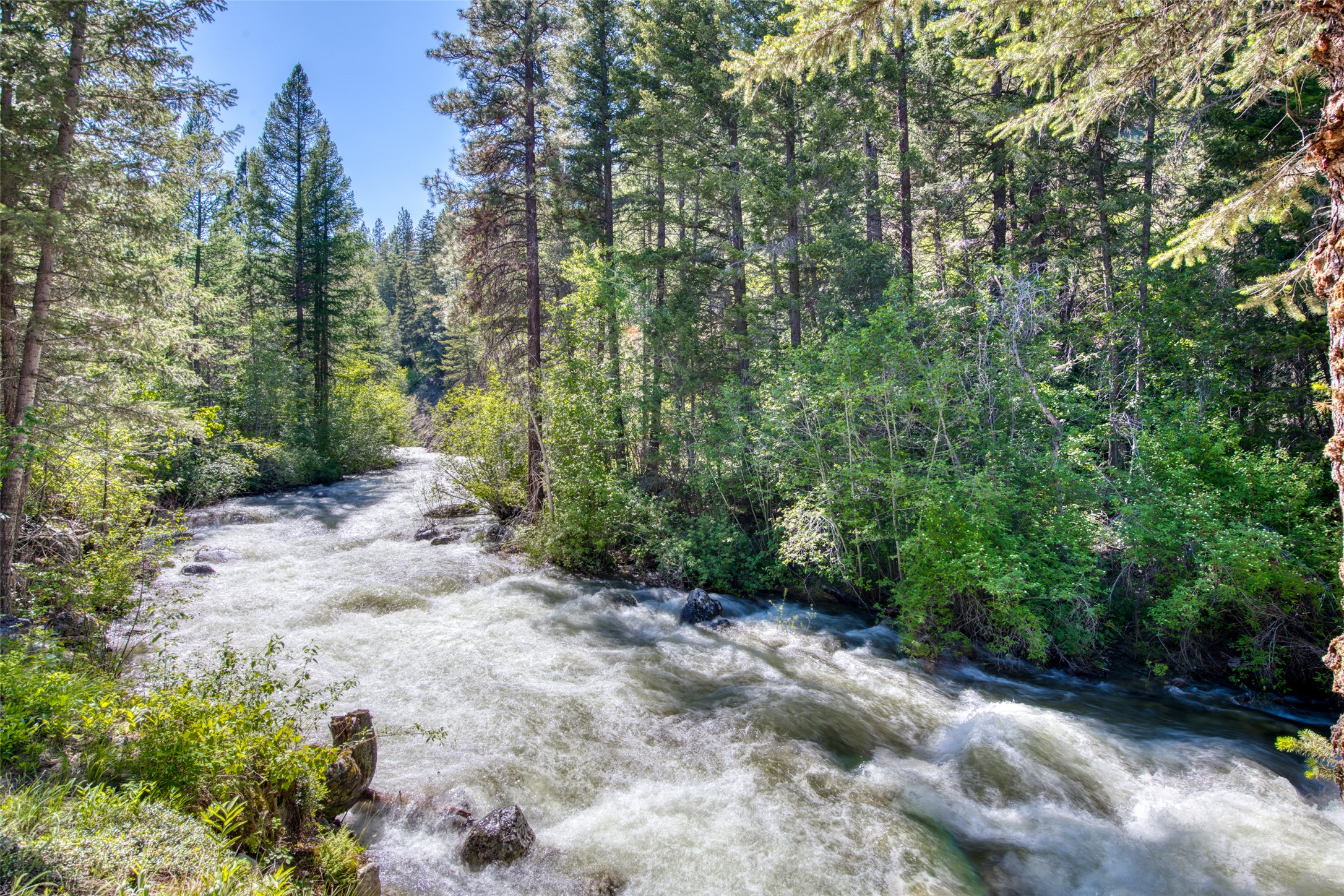 1062 Bear Creek Trail